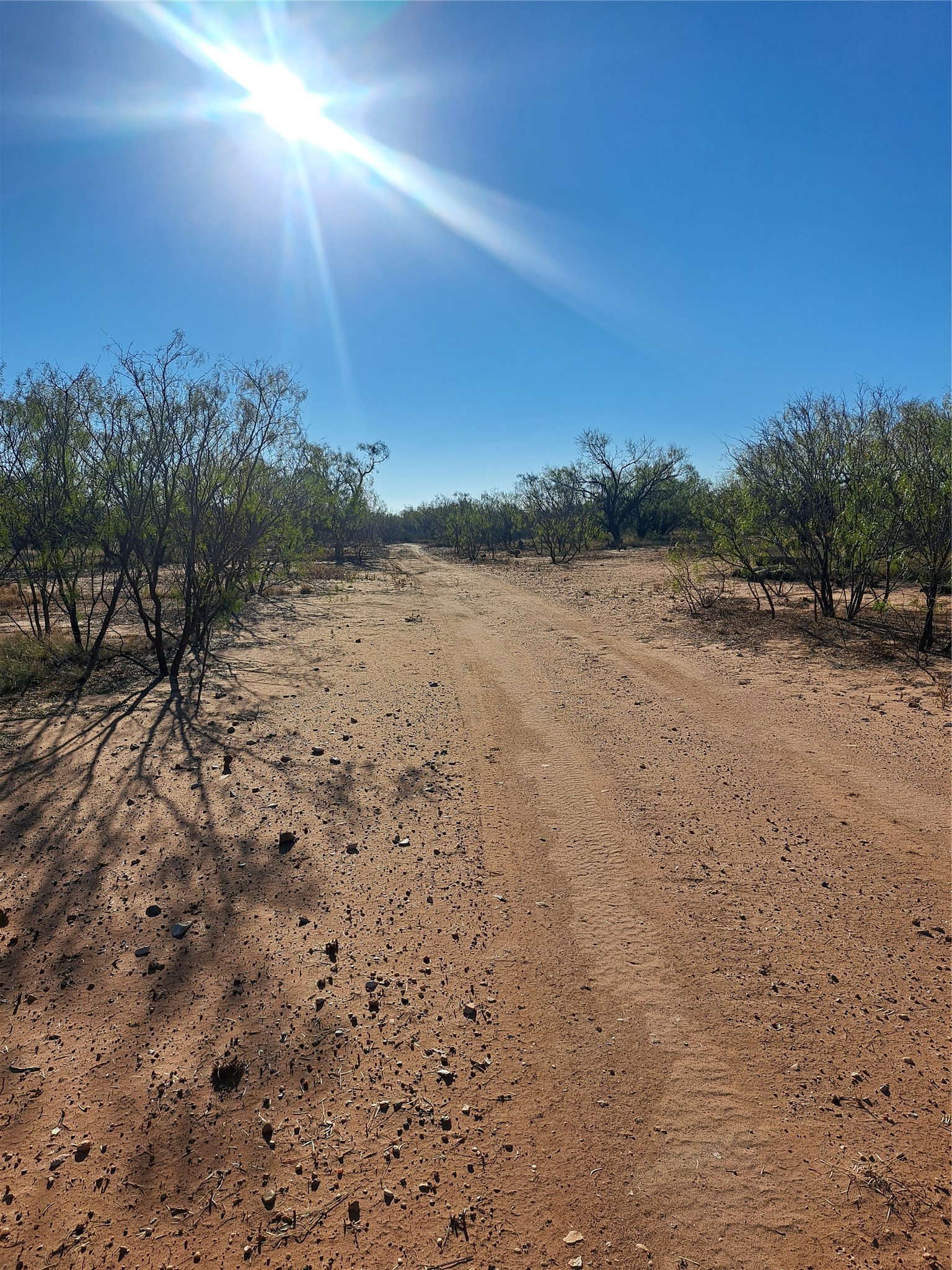 Tbd 158.50 Acres Trent TX 79561