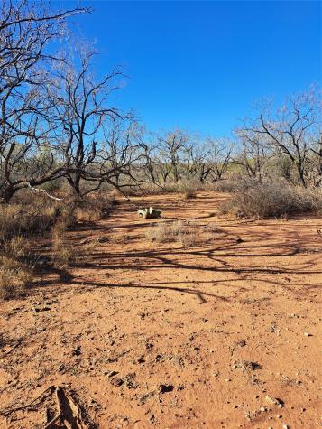 Tbd 158.50 Acres Trent TX 79561
