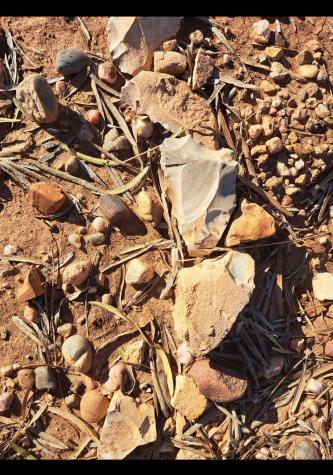 Tbd 158.50 Acres Trent TX 79561