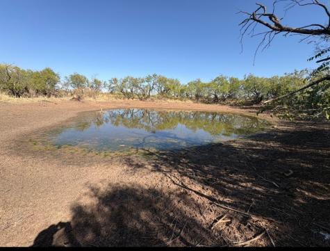 Tbd 158.50 Acres Trent TX 79561