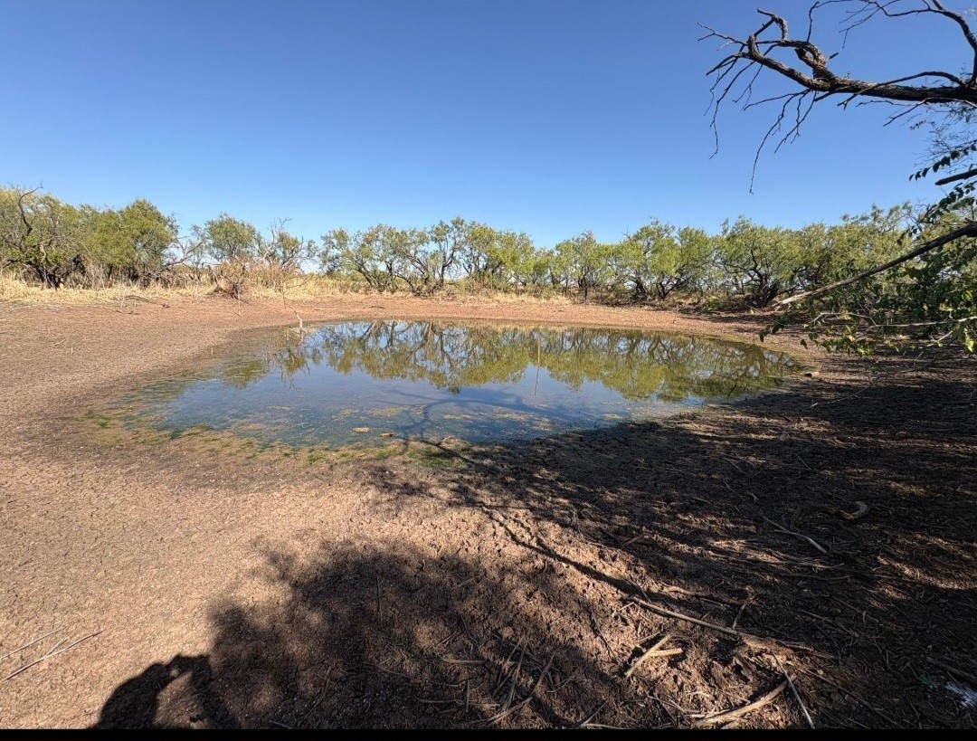 Tbd 158.50 Acres Trent TX 79561