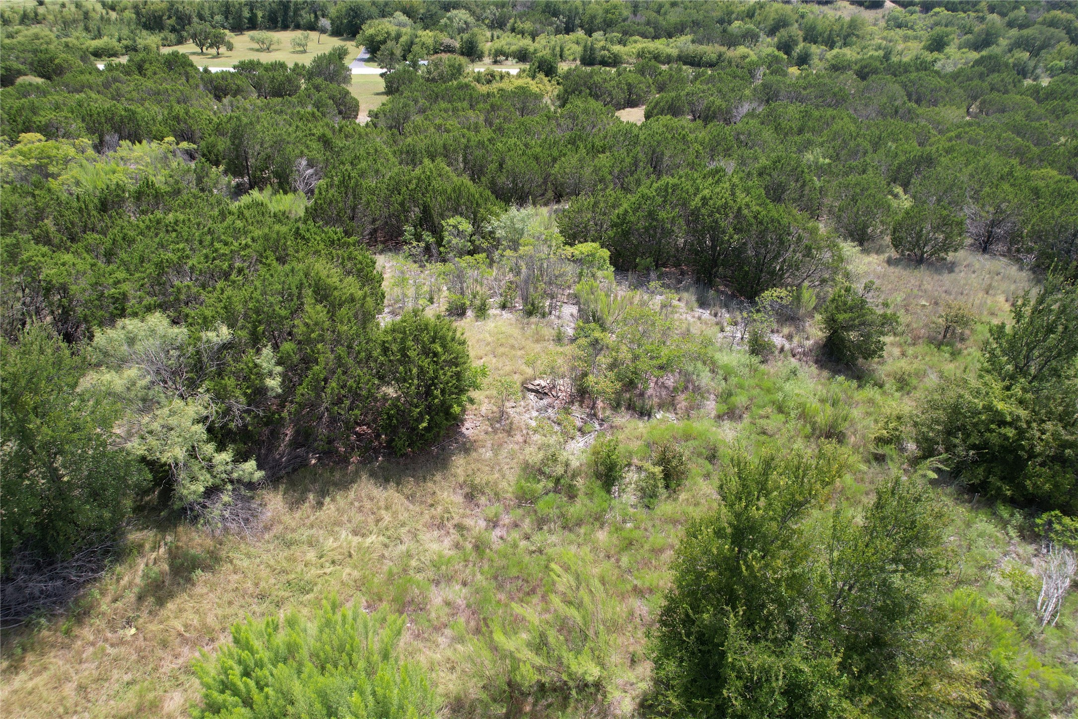 1319 Balcones Lane Possum Kingdom Lake TX 76449