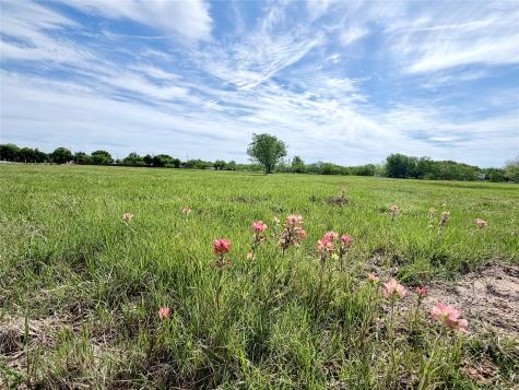 Lot 3 Lakewood Drive Whitney TX 76692