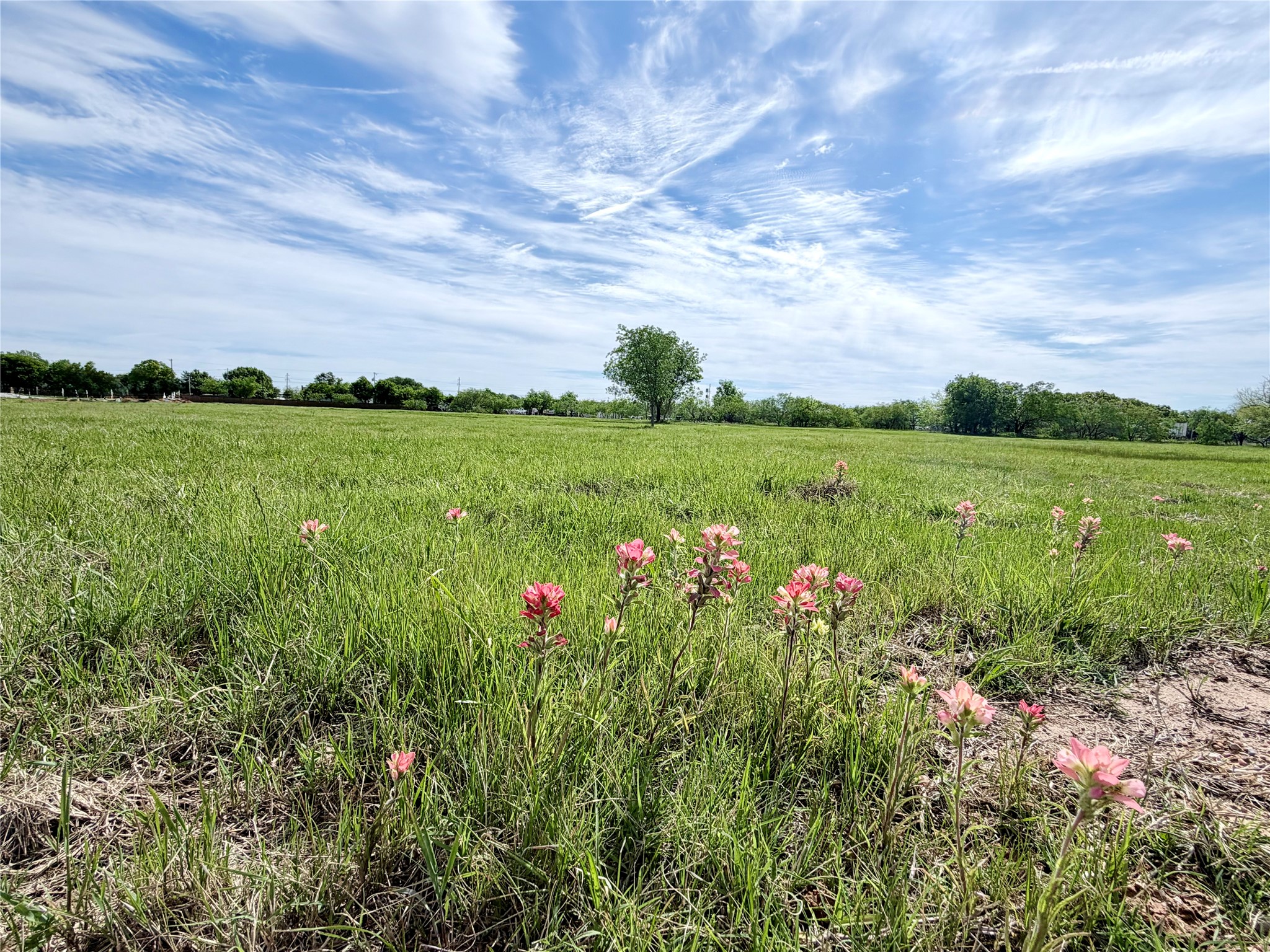 Lot 3 Lakewood Drive Whitney TX 76692