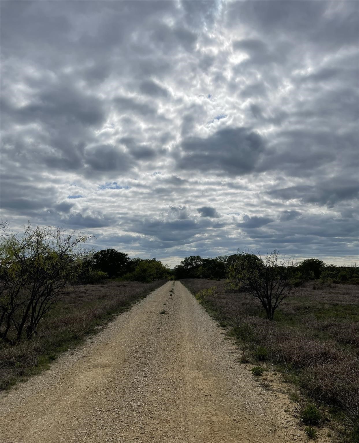 Tbd Oilfield Road Jacksboro TX 76458
