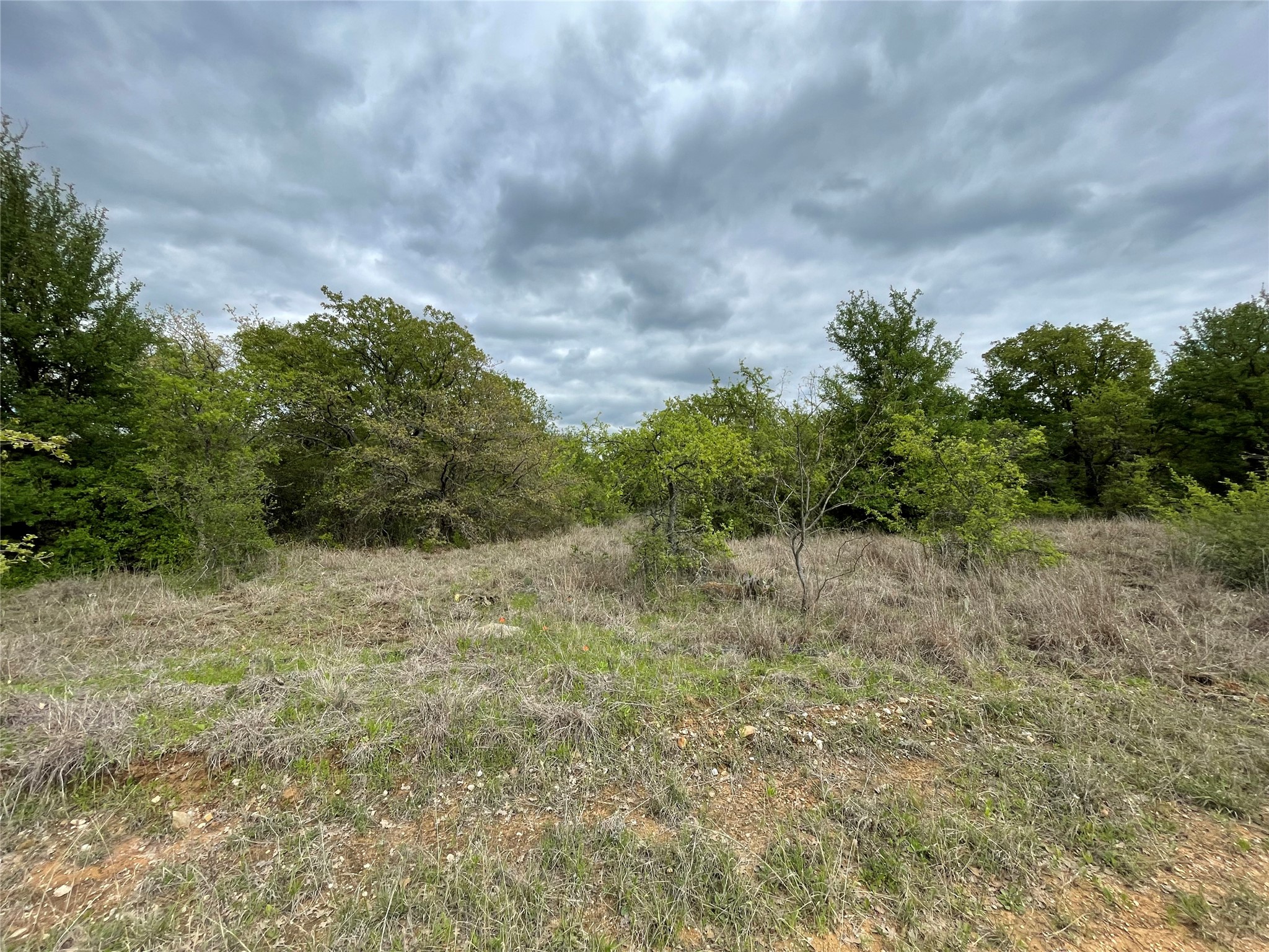 Tbd Oilfield Road Jacksboro TX 76458