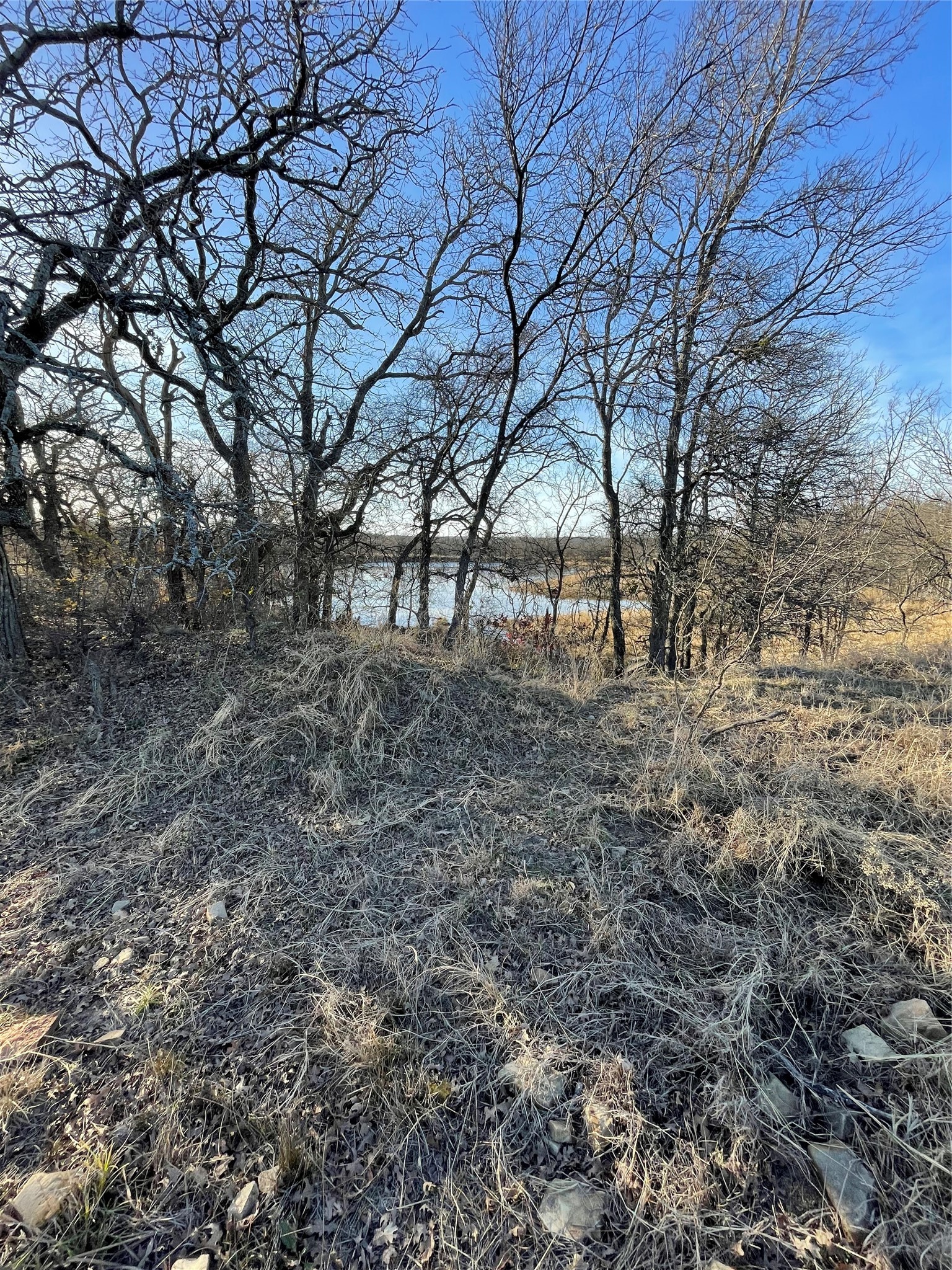Tbd Oilfield Road Jacksboro TX 76458