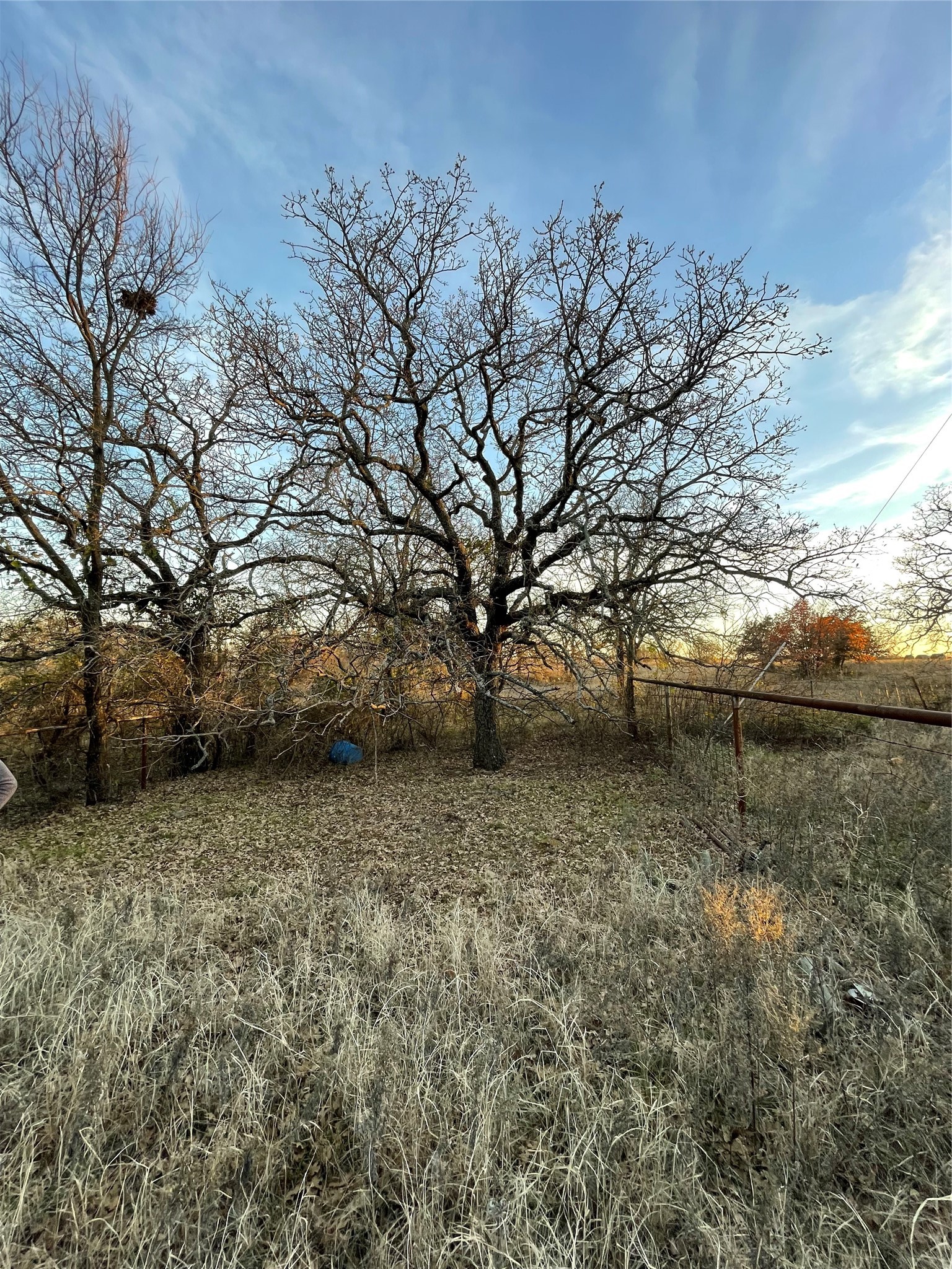 Tbd Oilfield Road Jacksboro TX 76458