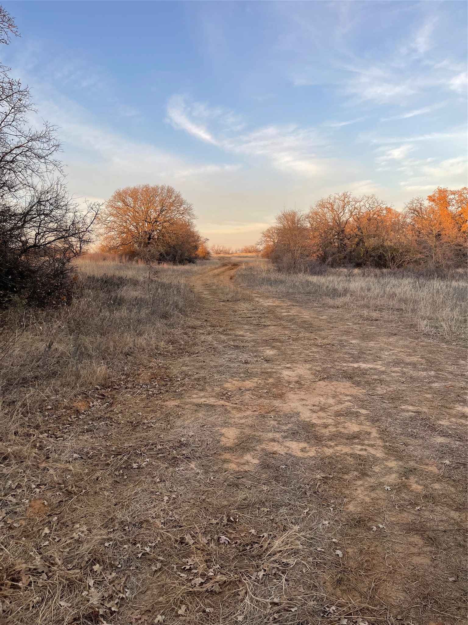 Tbd Oilfield Road Jacksboro TX 76458