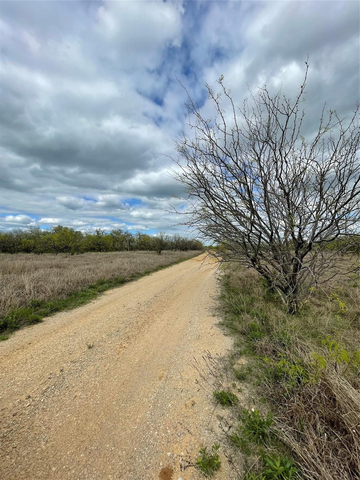 Tbd Oilfield Road Jacksboro TX 76458