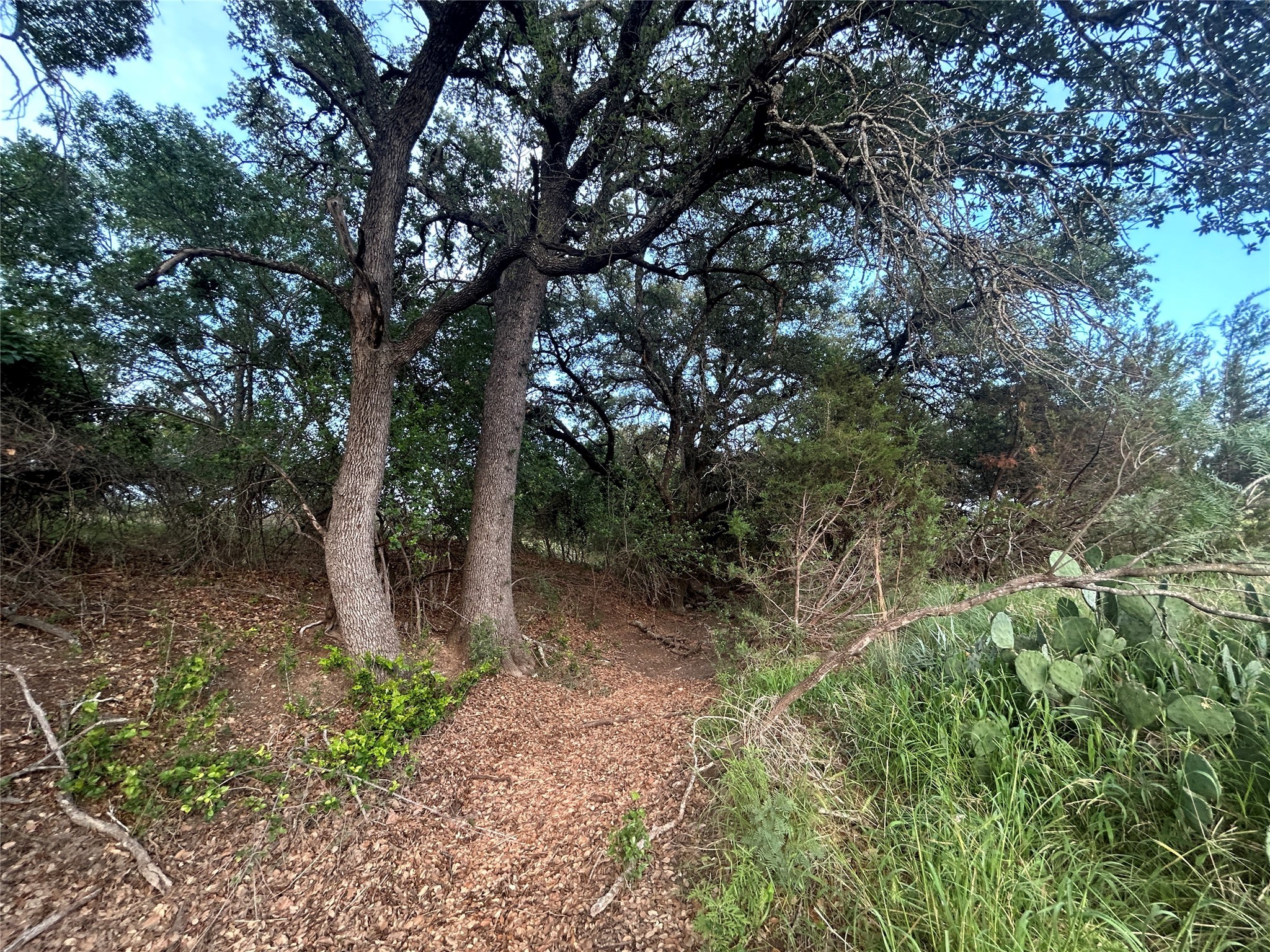 Tbd U.s. Highway 84 W Goldthwaite TX 76844