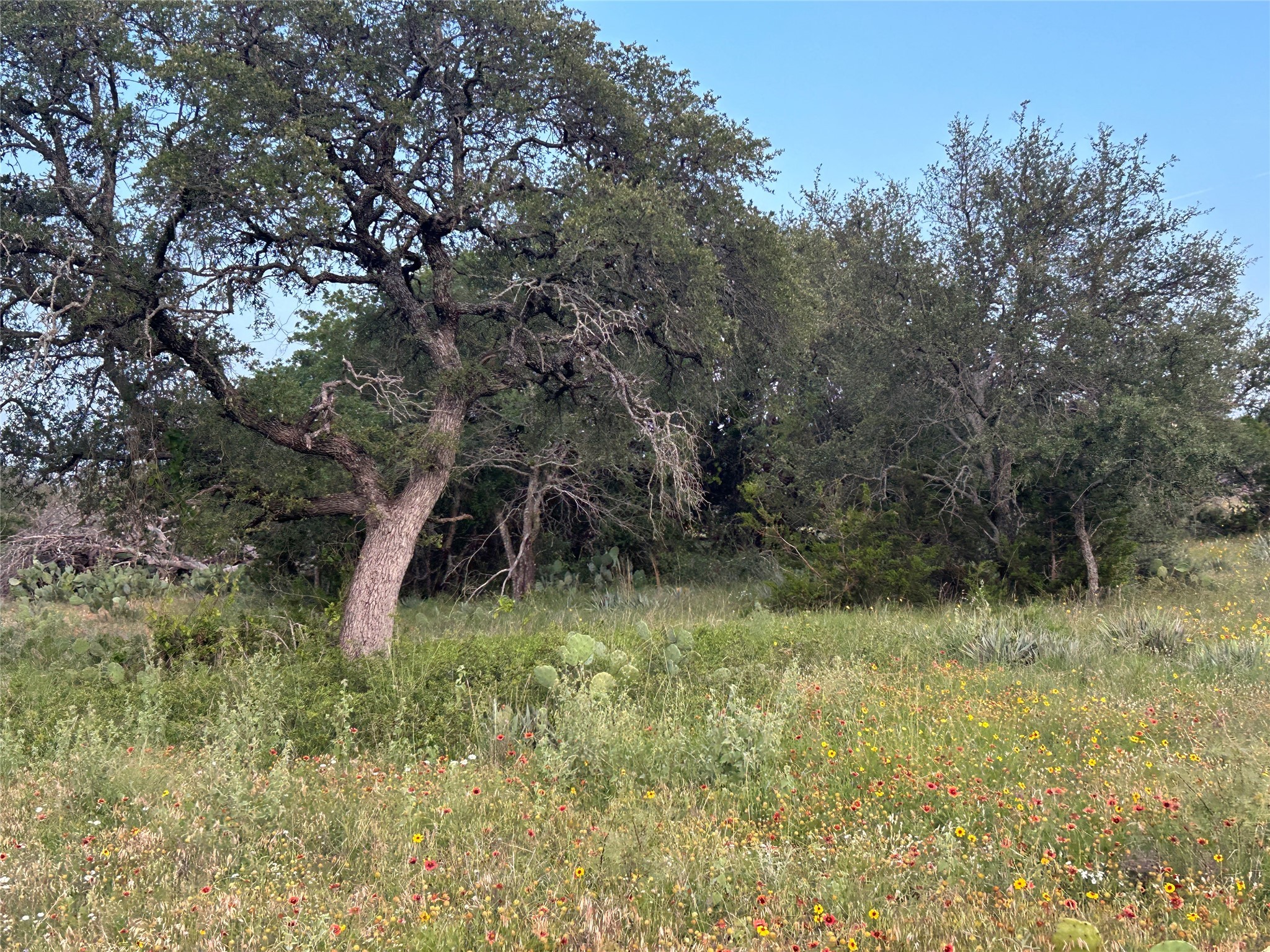 Tbd U.s. Highway 84 W Goldthwaite TX 76844