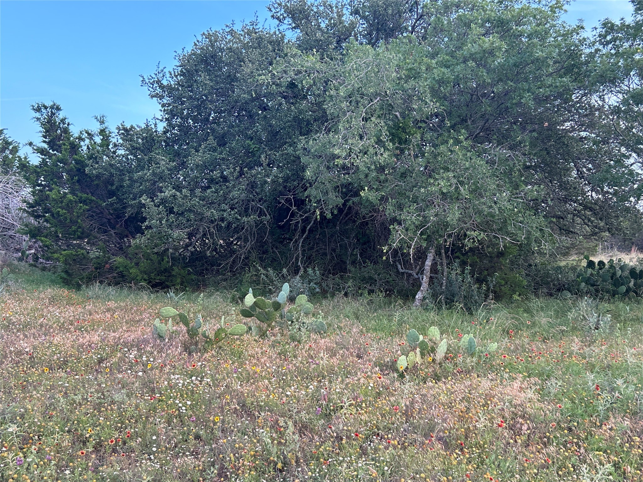 Tbd U.s. Highway 84 W Goldthwaite TX 76844