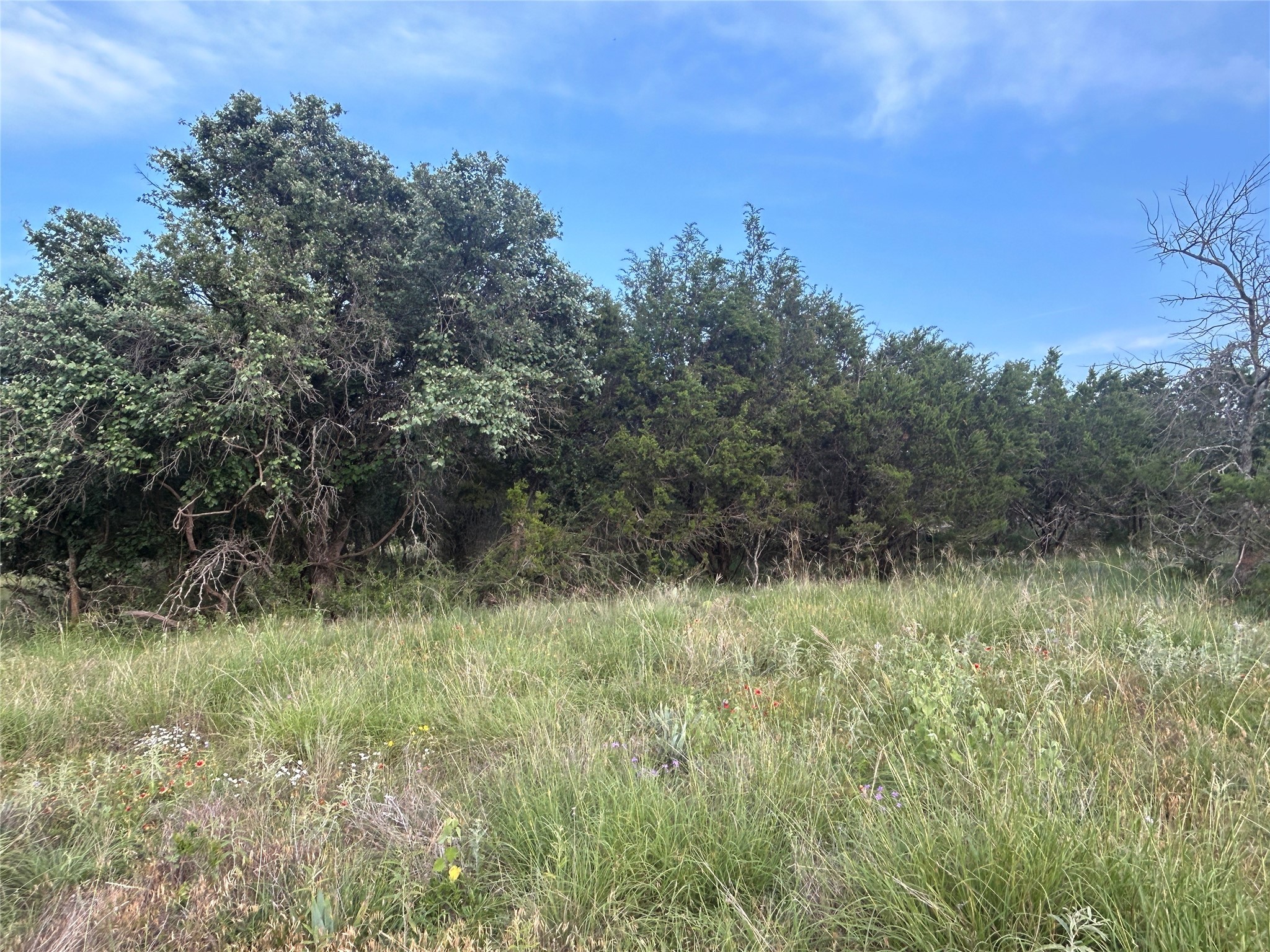 Tbd U.s. Highway 84 W Goldthwaite TX 76844