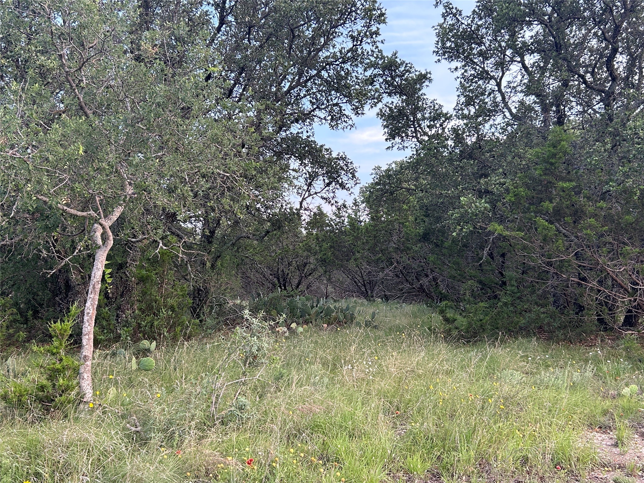 Tbd U.s. Highway 84 W Goldthwaite TX 76844