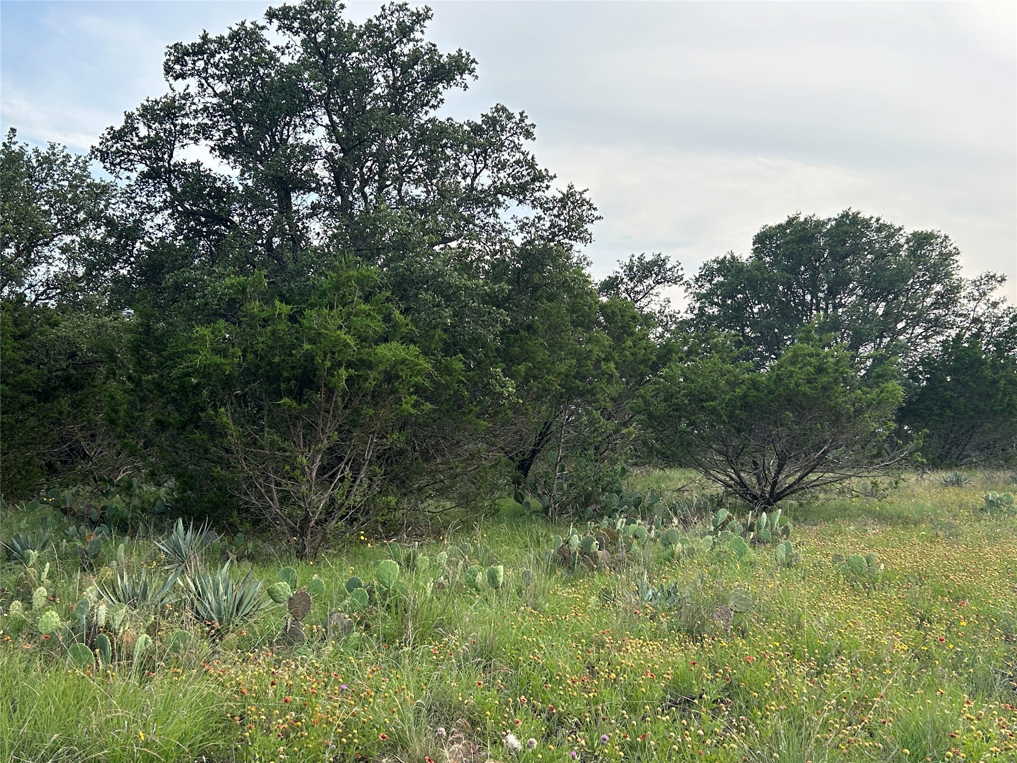 Tbd U.s. Highway 84 W Goldthwaite TX 76844