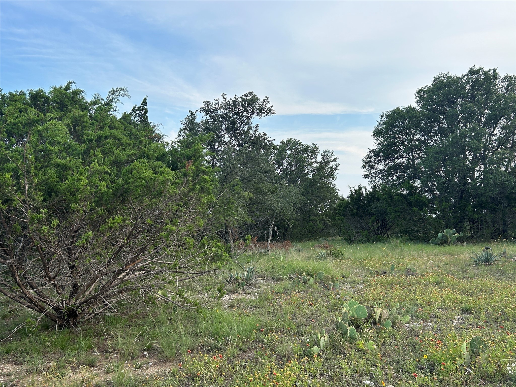 Tbd U.s. Highway 84 W Goldthwaite TX 76844