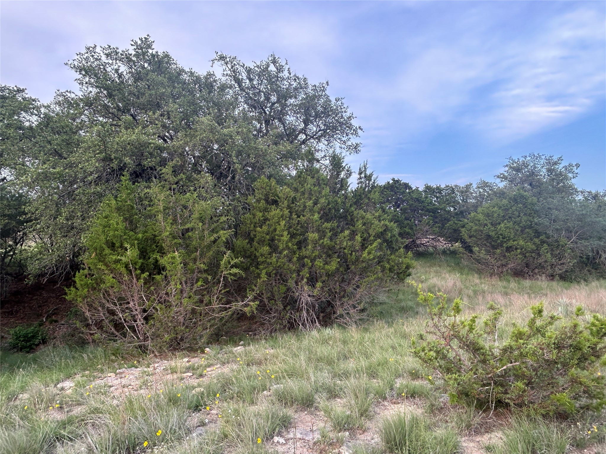 Tbd U.s. Highway 84 W Goldthwaite TX 76844