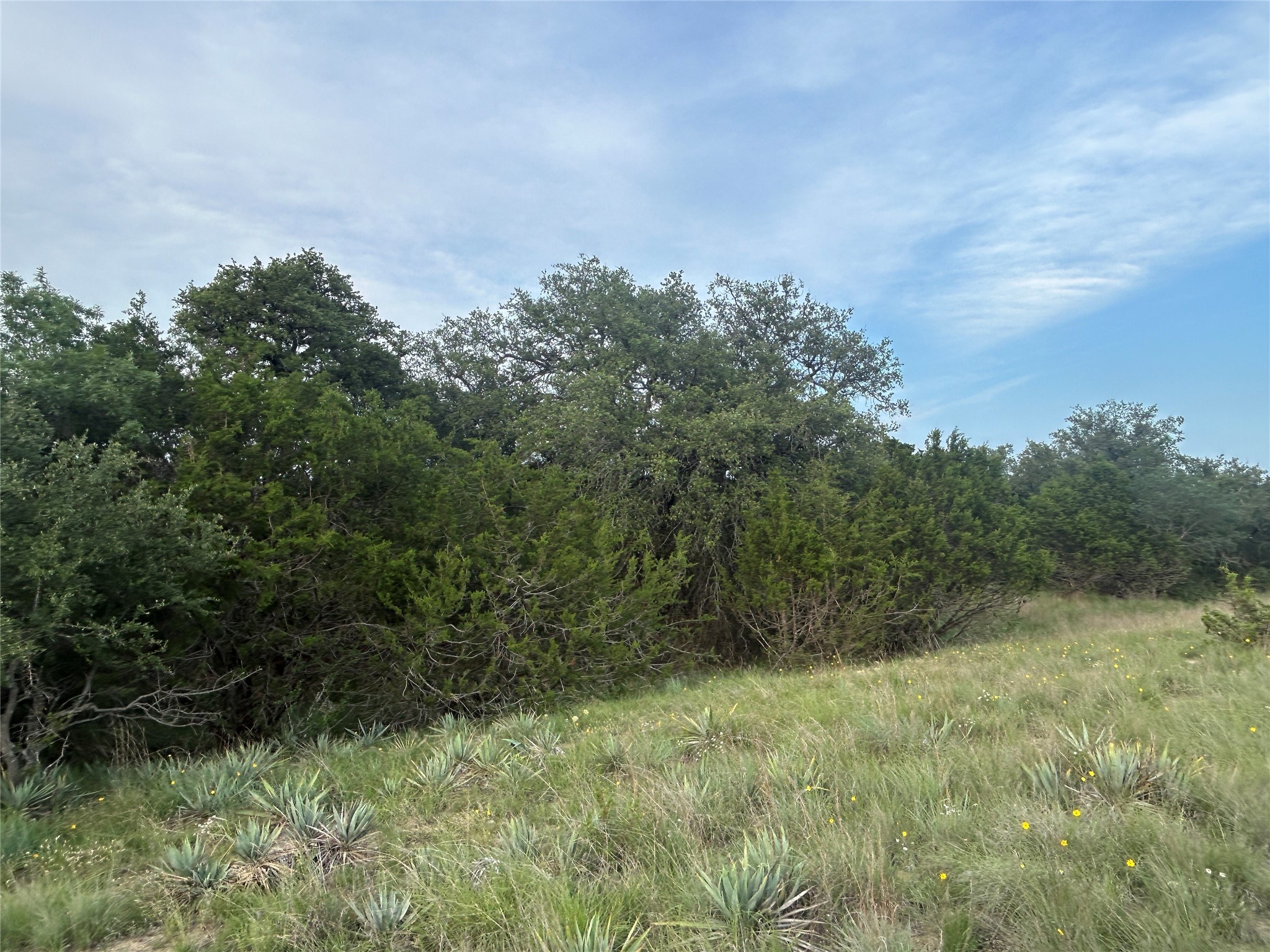 Tbd U.s. Highway 84 W Goldthwaite TX 76844