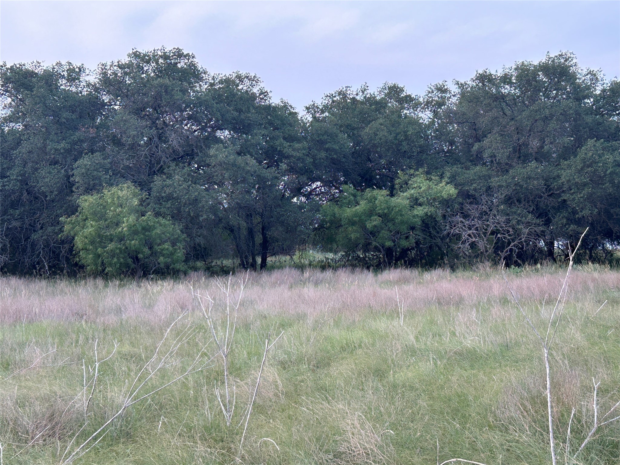 Tbd U.s. Highway 84 W Goldthwaite TX 76844