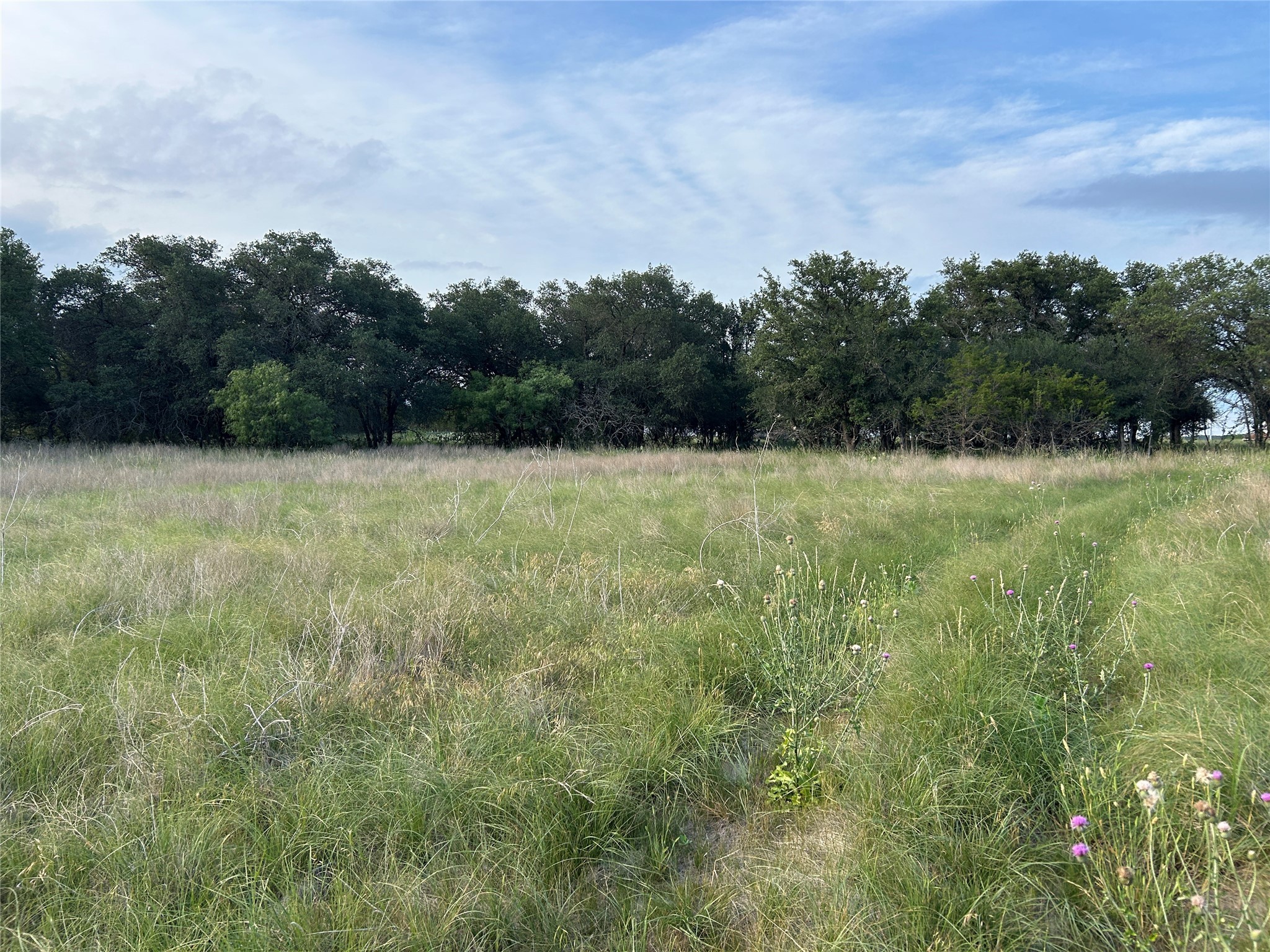 Tbd U.s. Highway 84 W Goldthwaite TX 76844
