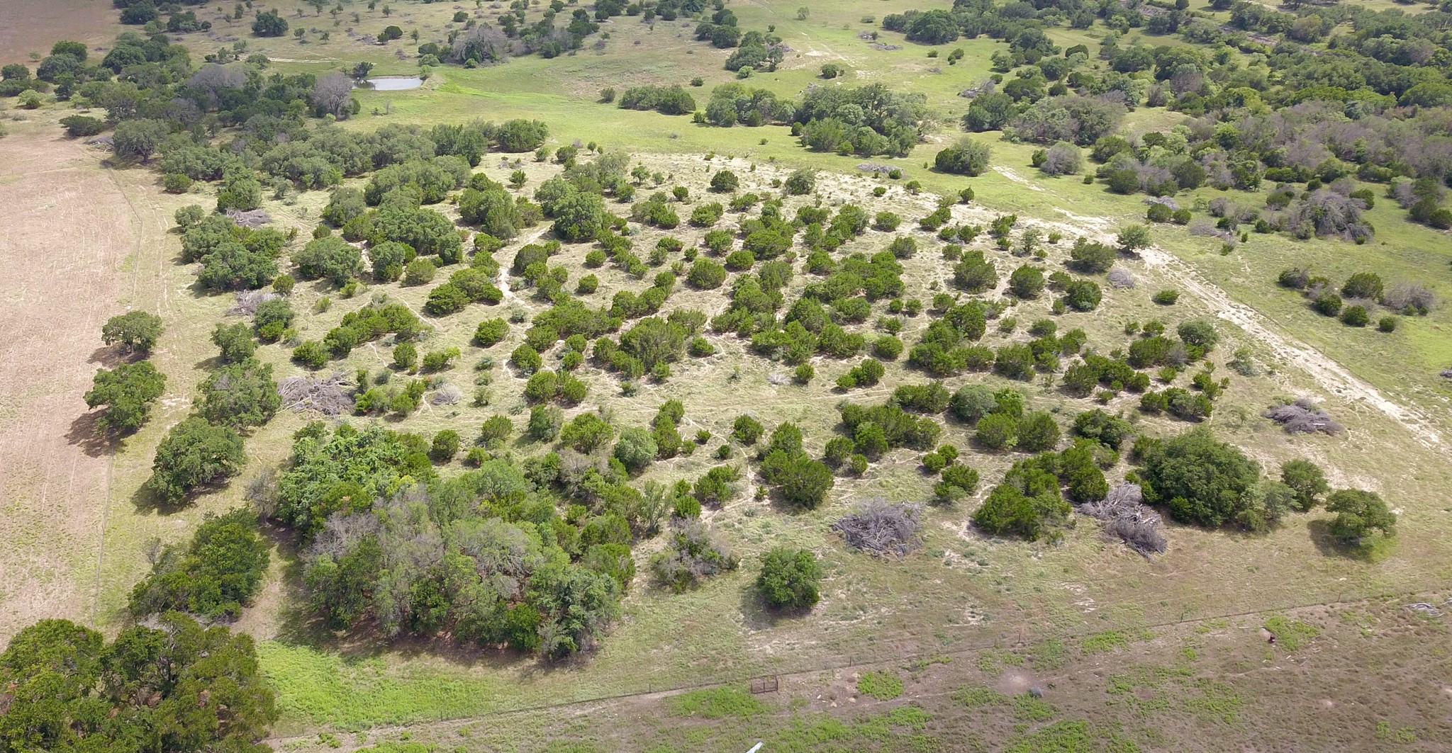 Tbd U.s. Highway 84 W Goldthwaite TX 76844