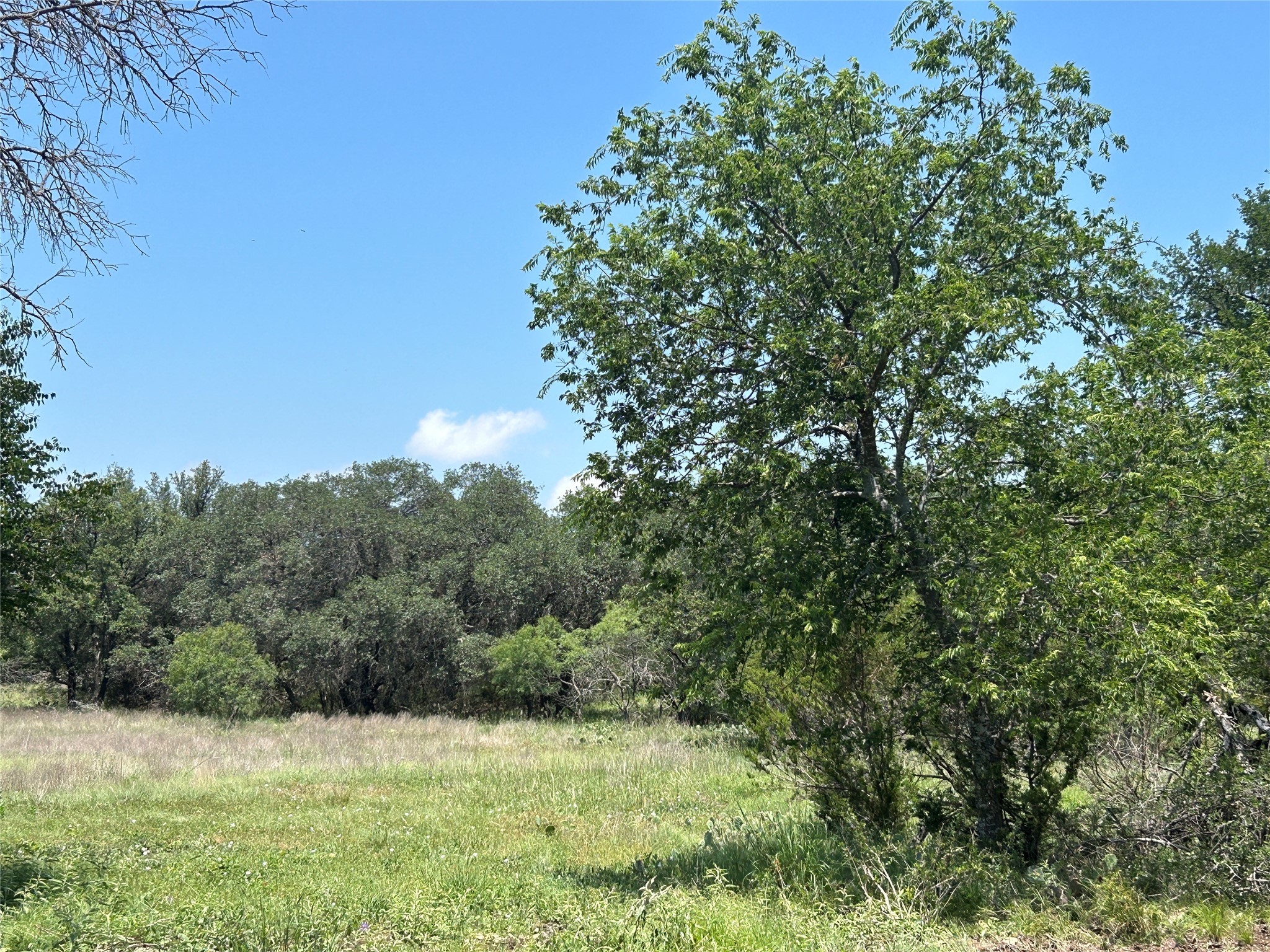 Tbd U.s. Highway 84 W Goldthwaite TX 76844