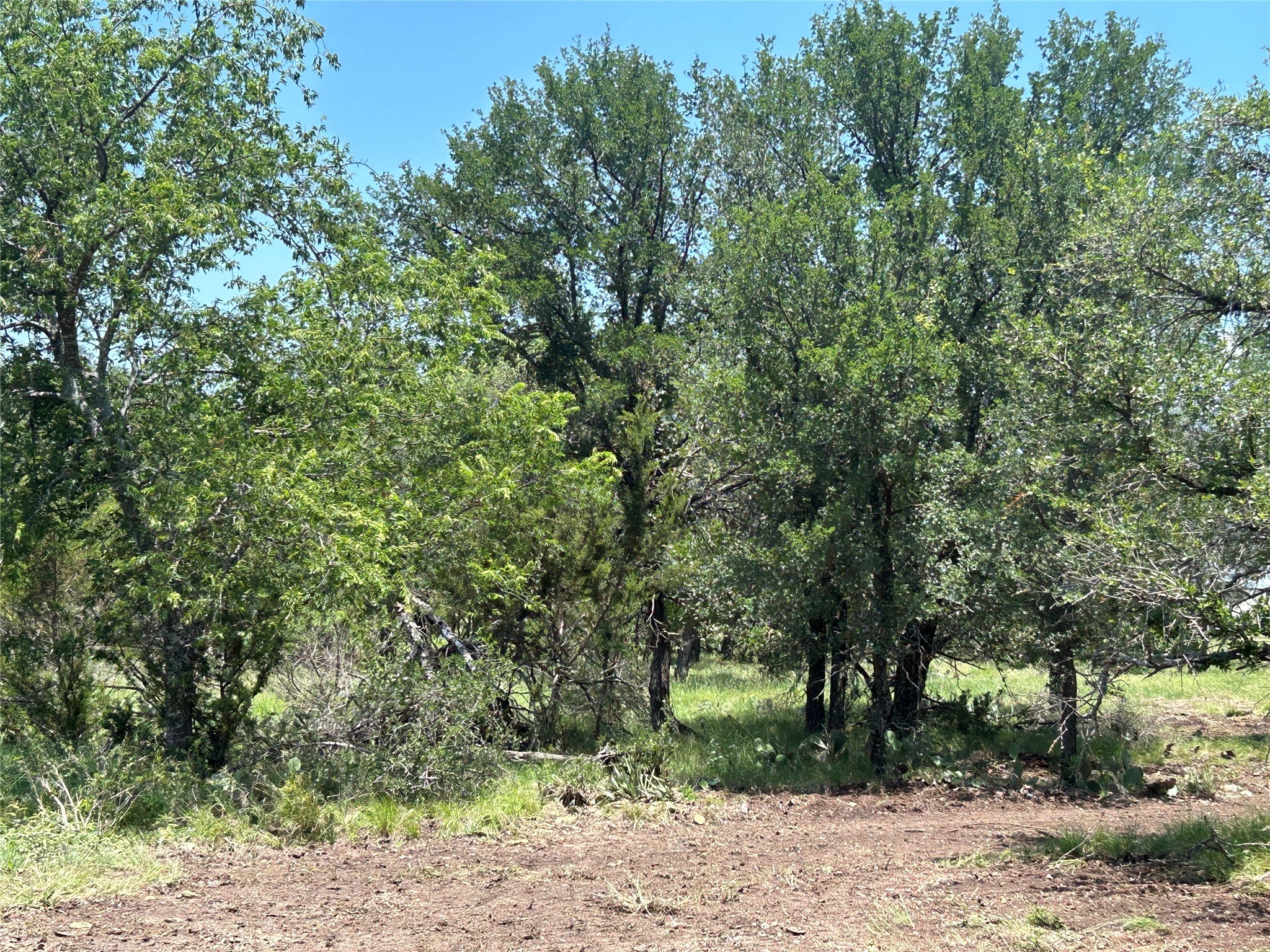 Tbd U.s. Highway 84 W Goldthwaite TX 76844