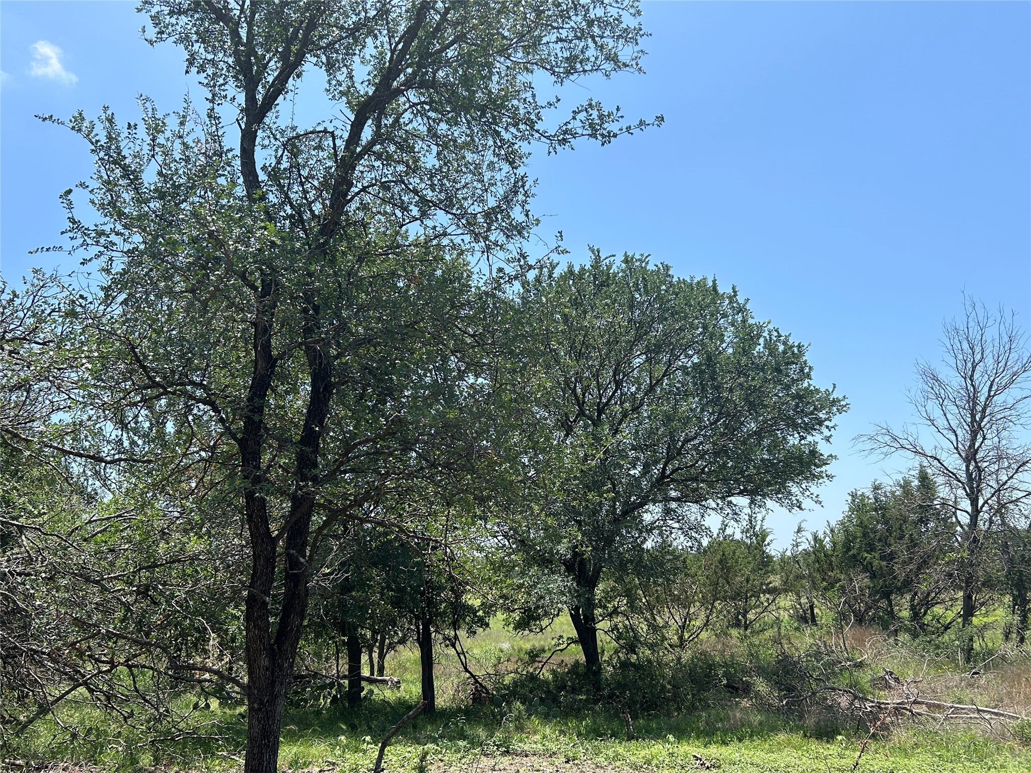 Tbd U.s. Highway 84 W Goldthwaite TX 76844