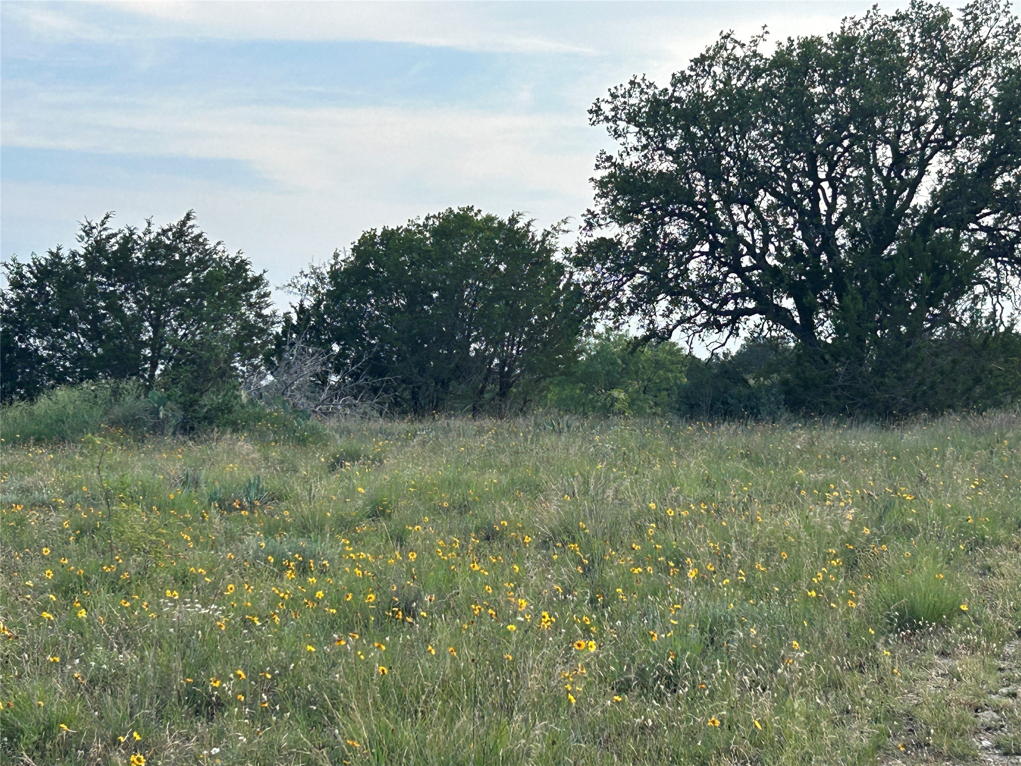 Tbd U.s. Highway 84 W Goldthwaite TX 76844