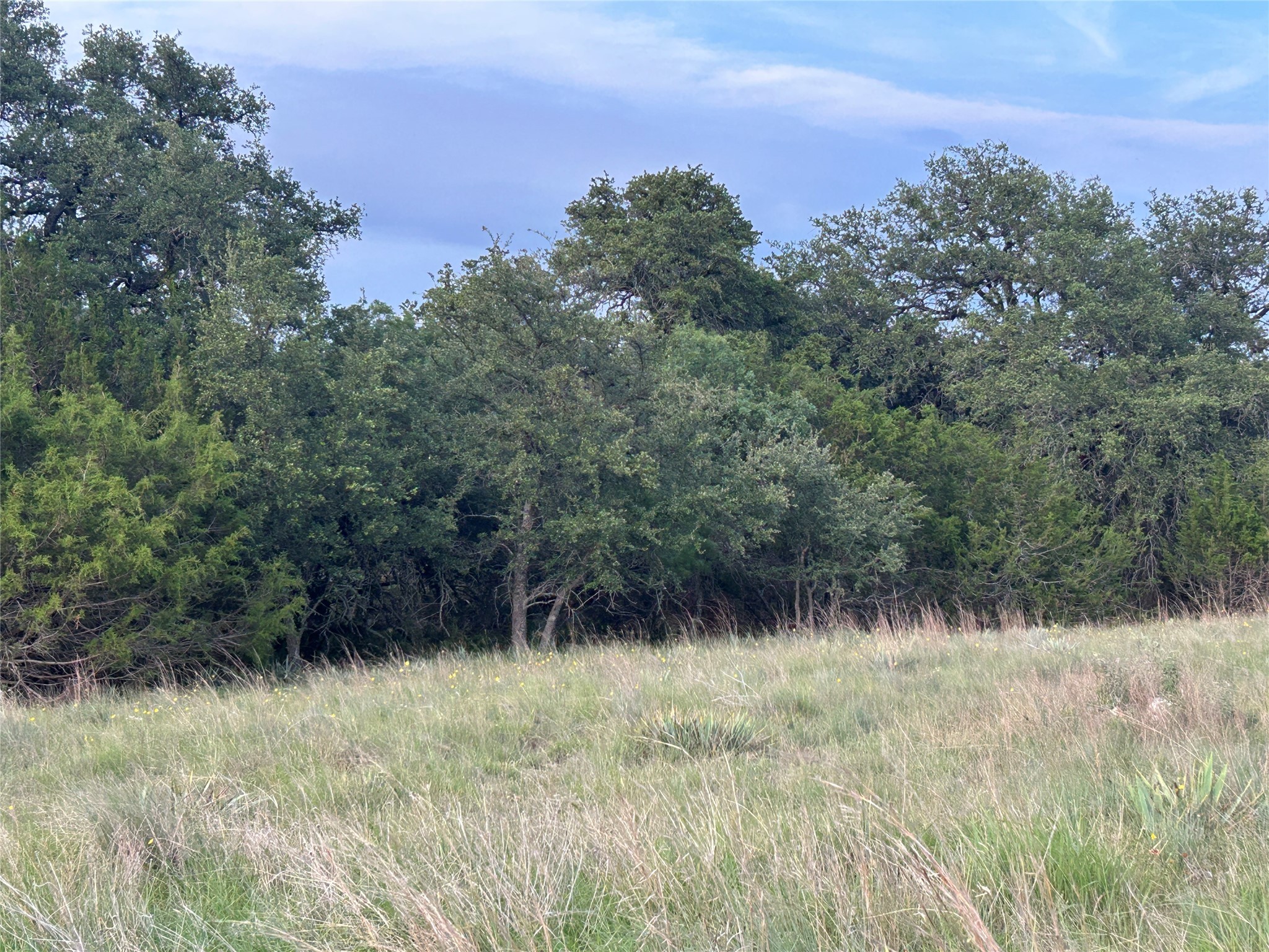Tbd U.s. Highway 84 W Goldthwaite TX 76844