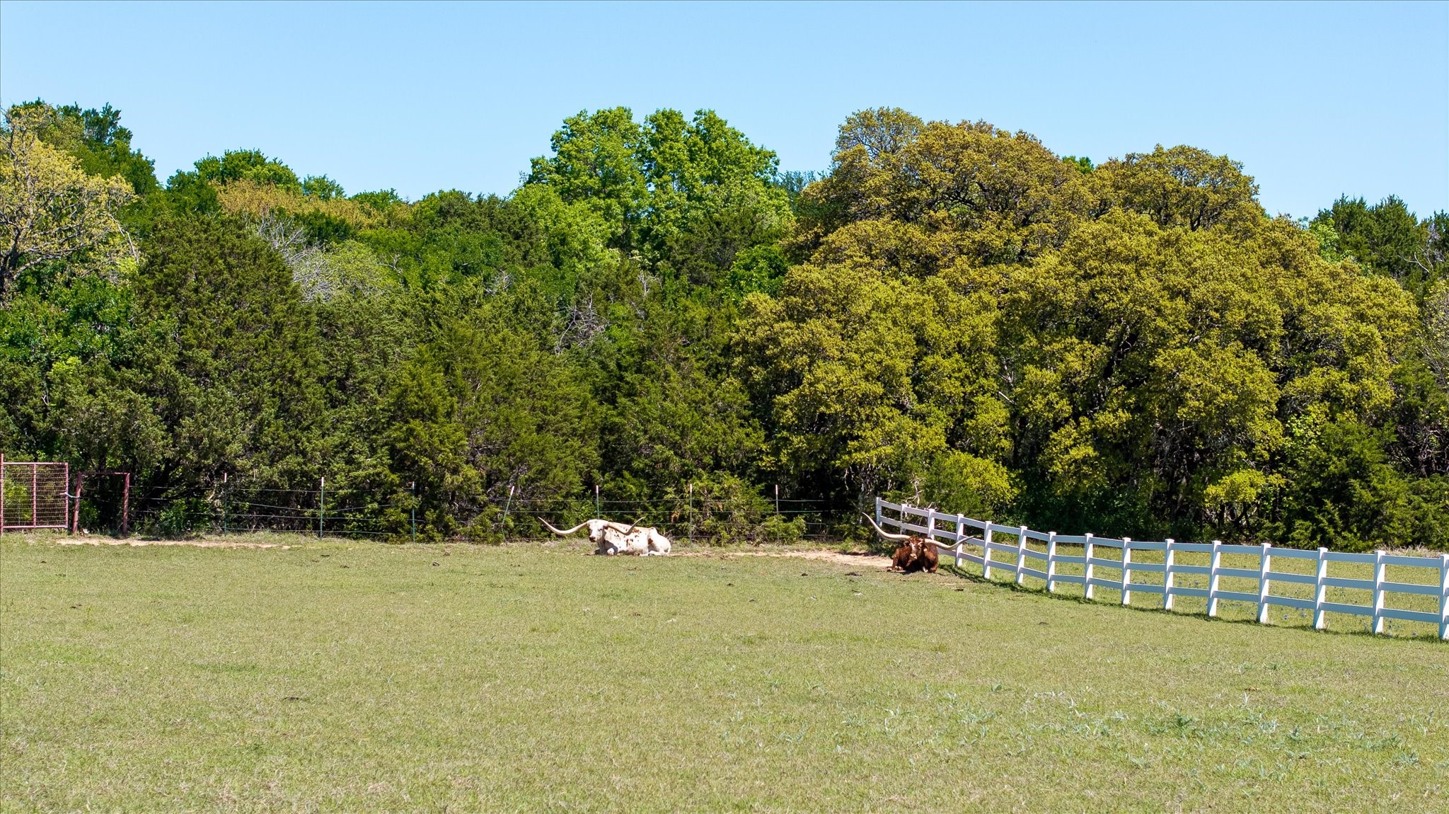 Lot 16 W Hidden Meadow Court Cresson TX 76035