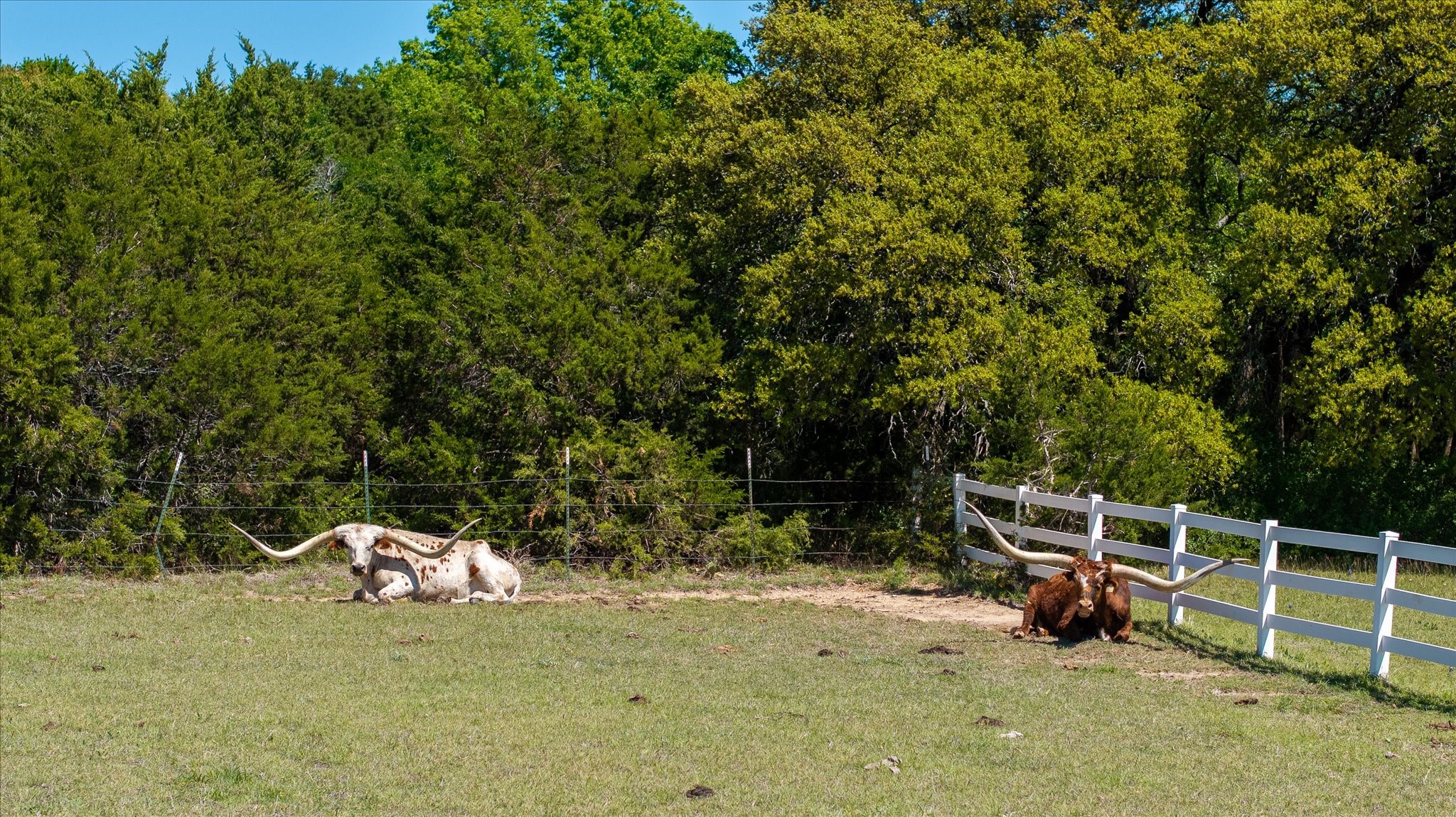 Lot 16 W Hidden Meadow Court Cresson TX 76035
