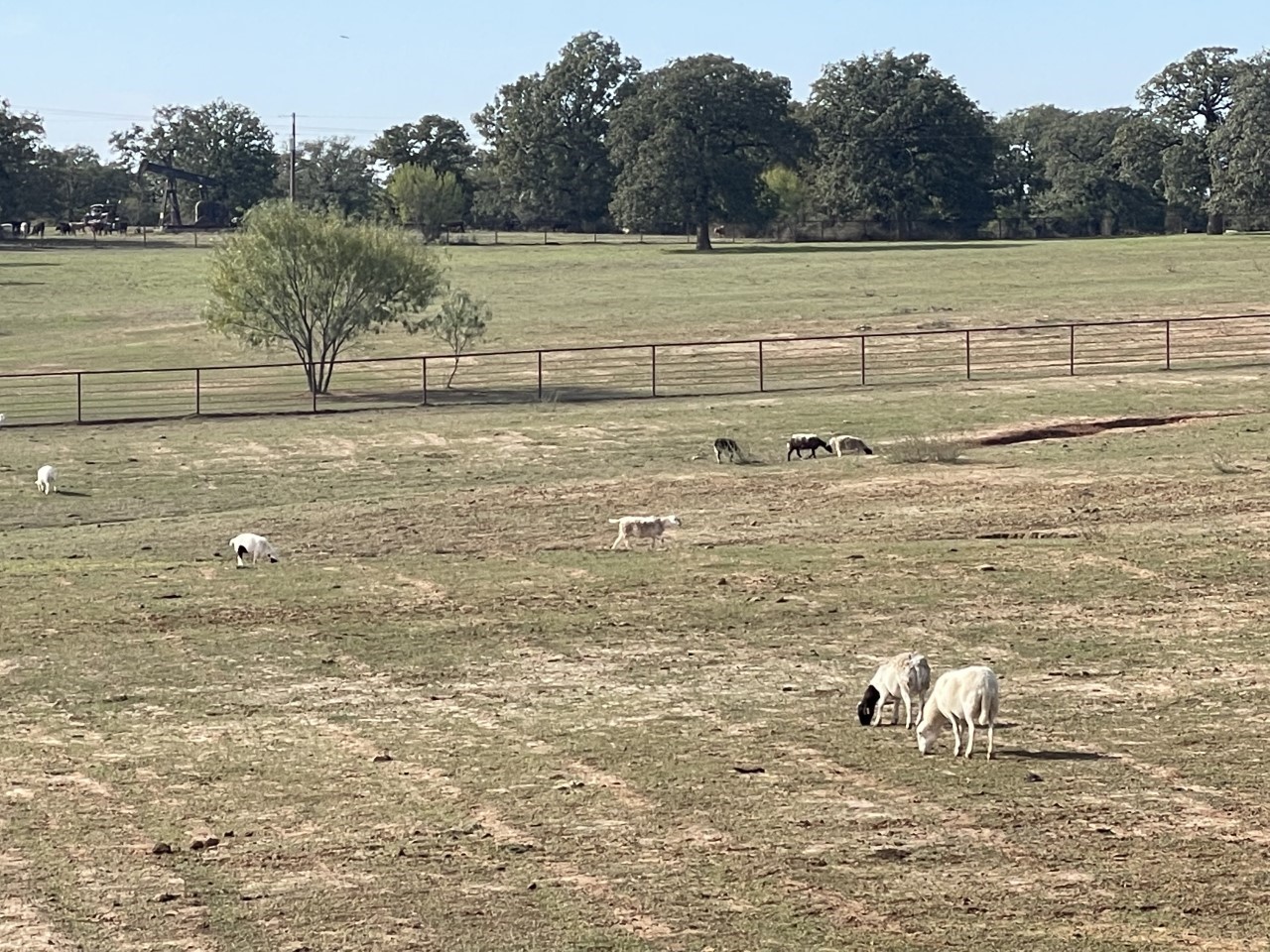 4487 N Us Highway 287 Alvord TX 76225