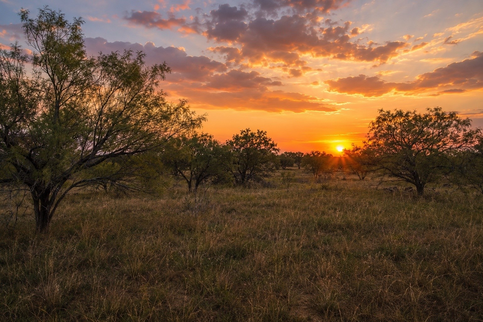 Tbd 13.345 Acres Cr 107 Abilene TX 79601