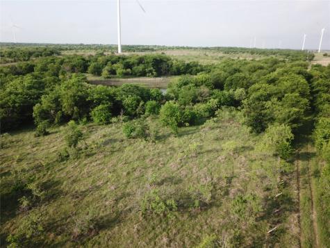 308.64 Acres Lcr 208a Coolidge TX 76635