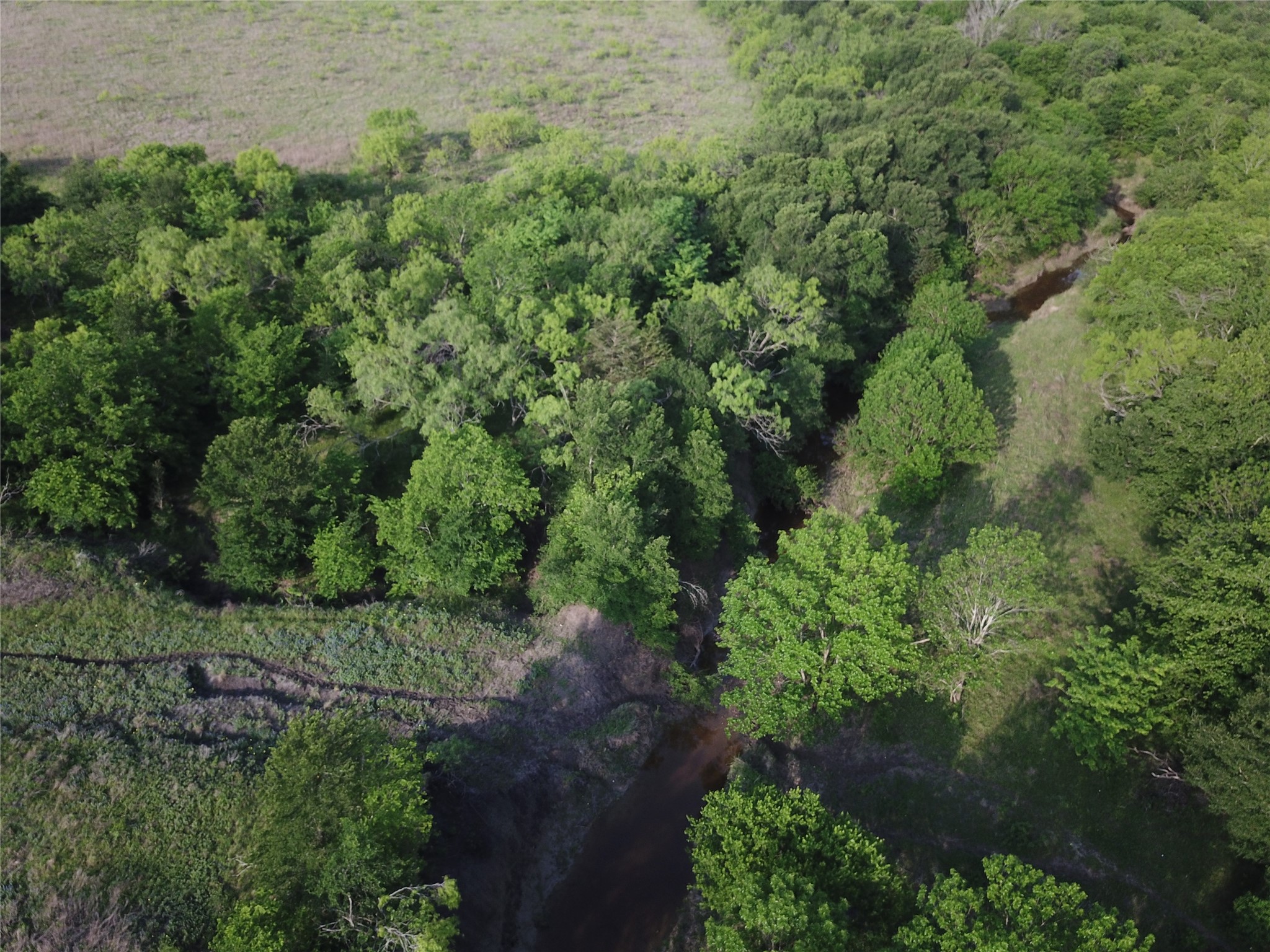 308.64 Acres Lcr 208a Coolidge TX 76635
