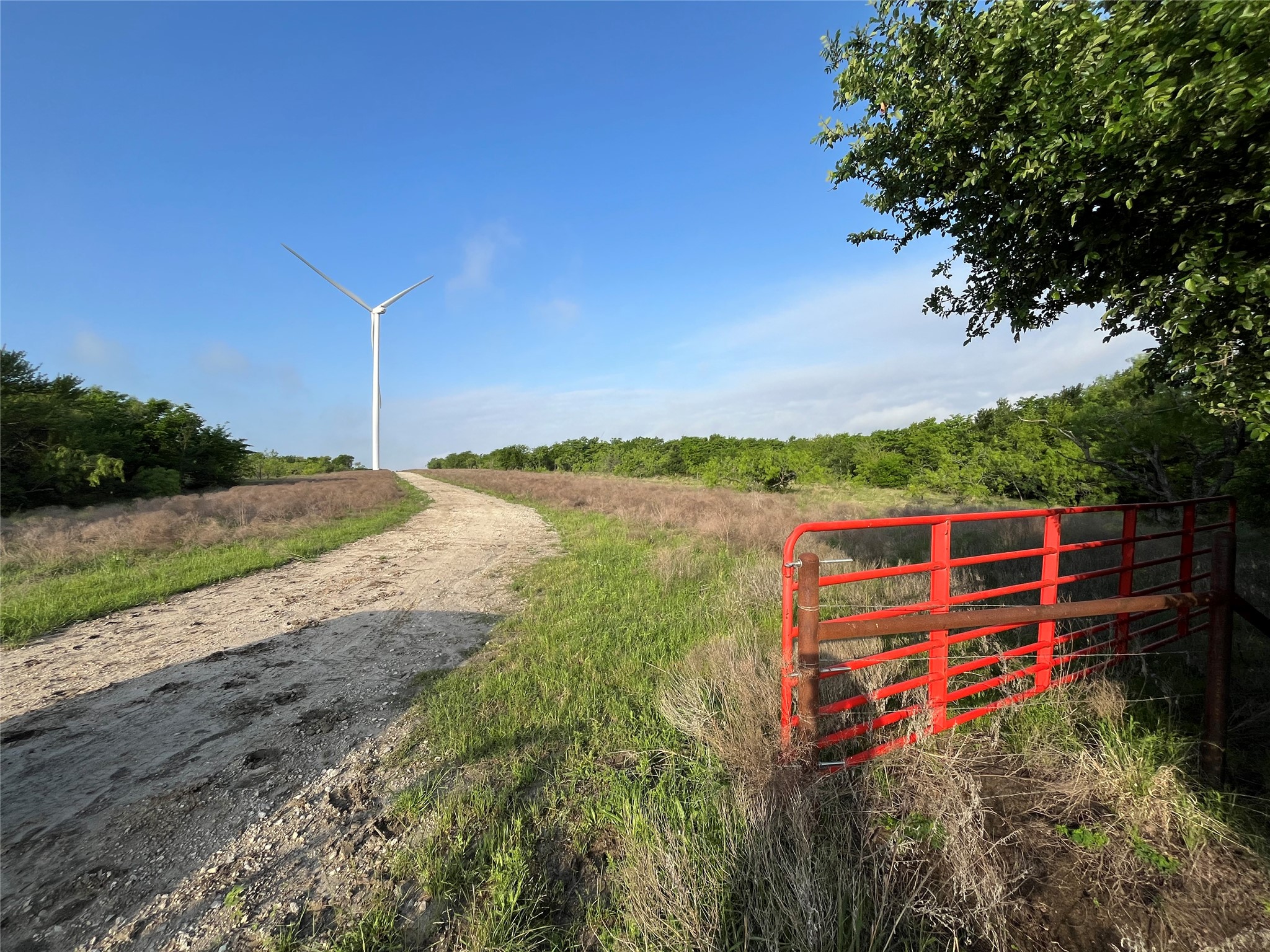 308.64 Acres Lcr 208a Coolidge TX 76635