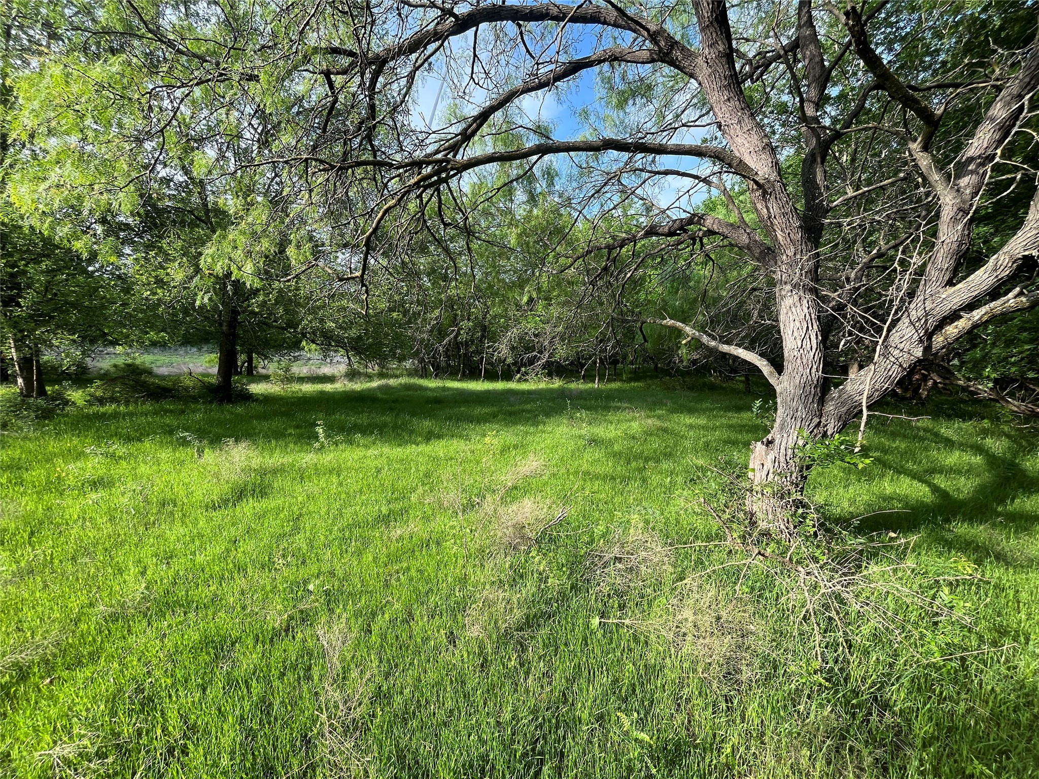 308.64 Acres Lcr 208a Coolidge TX 76635