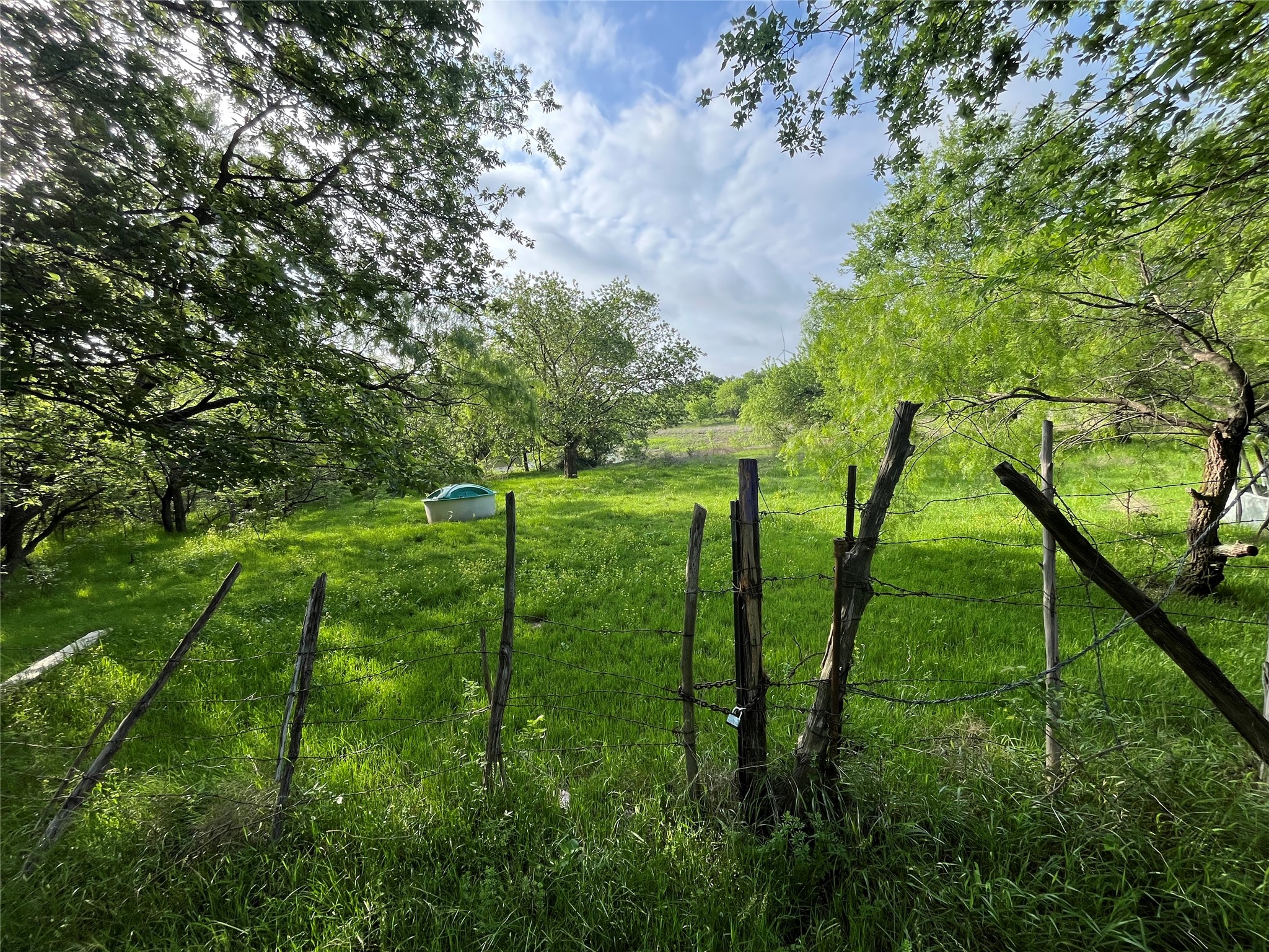 308.64 Acres Lcr 208a Coolidge TX 76635