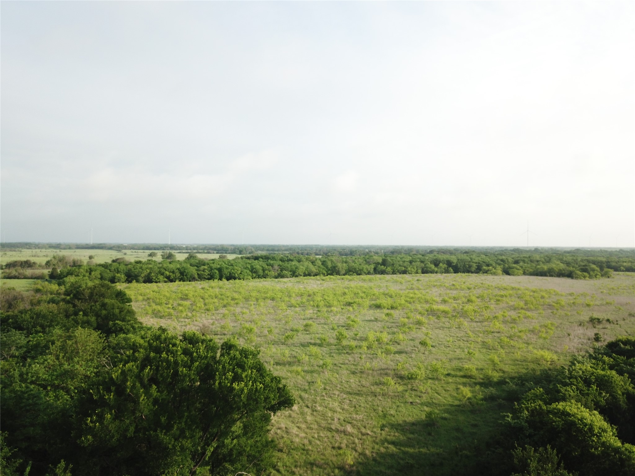 308.64 Acres Lcr 208a Coolidge TX 76635