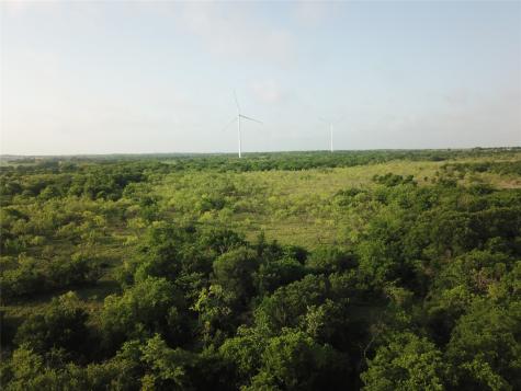 308.64 Acres Lcr 208a Coolidge TX 76635