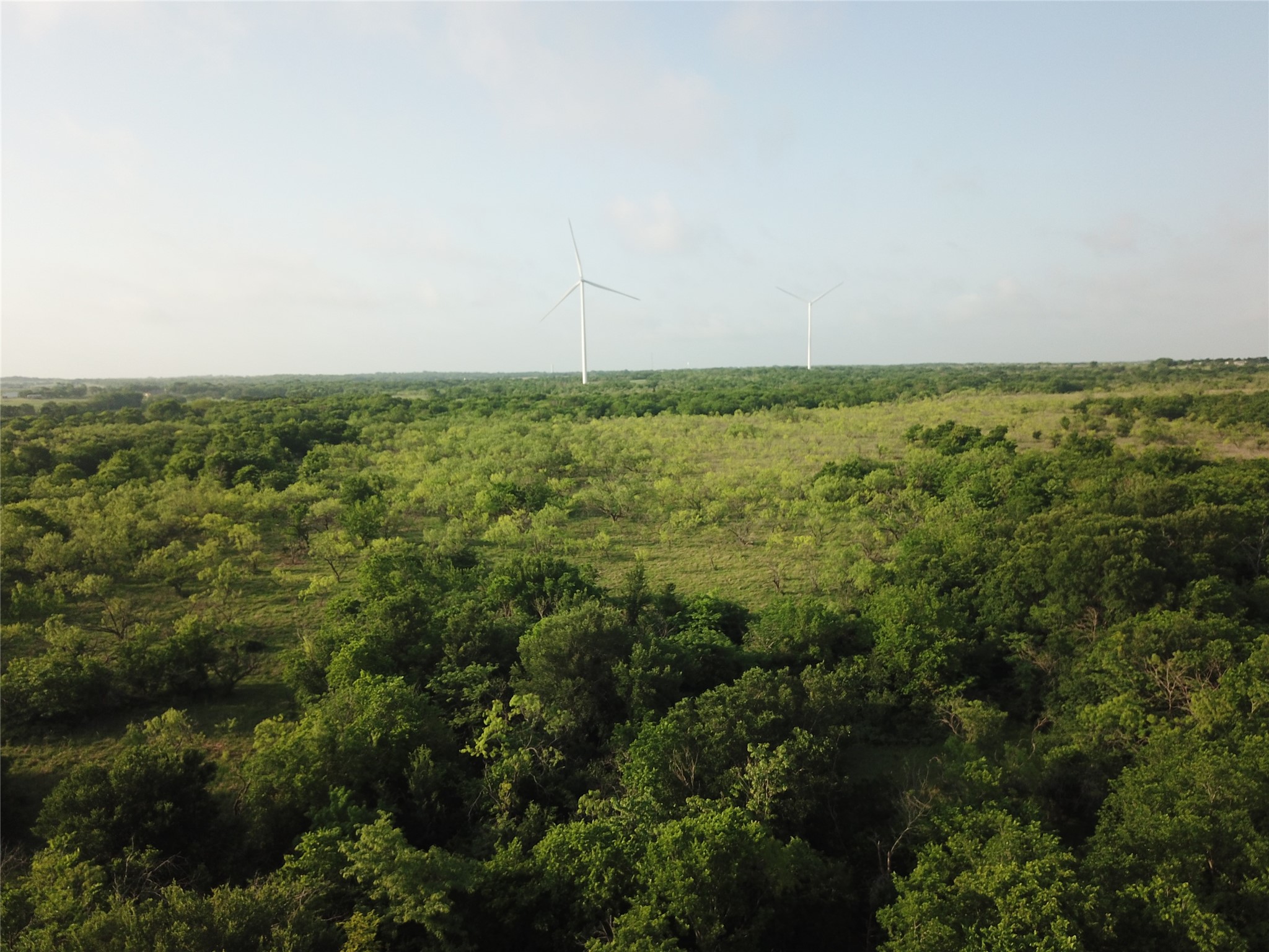 308.64 Acres Lcr 208a Coolidge TX 76635