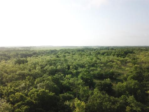 308.64 Acres Lcr 208a Coolidge TX 76635