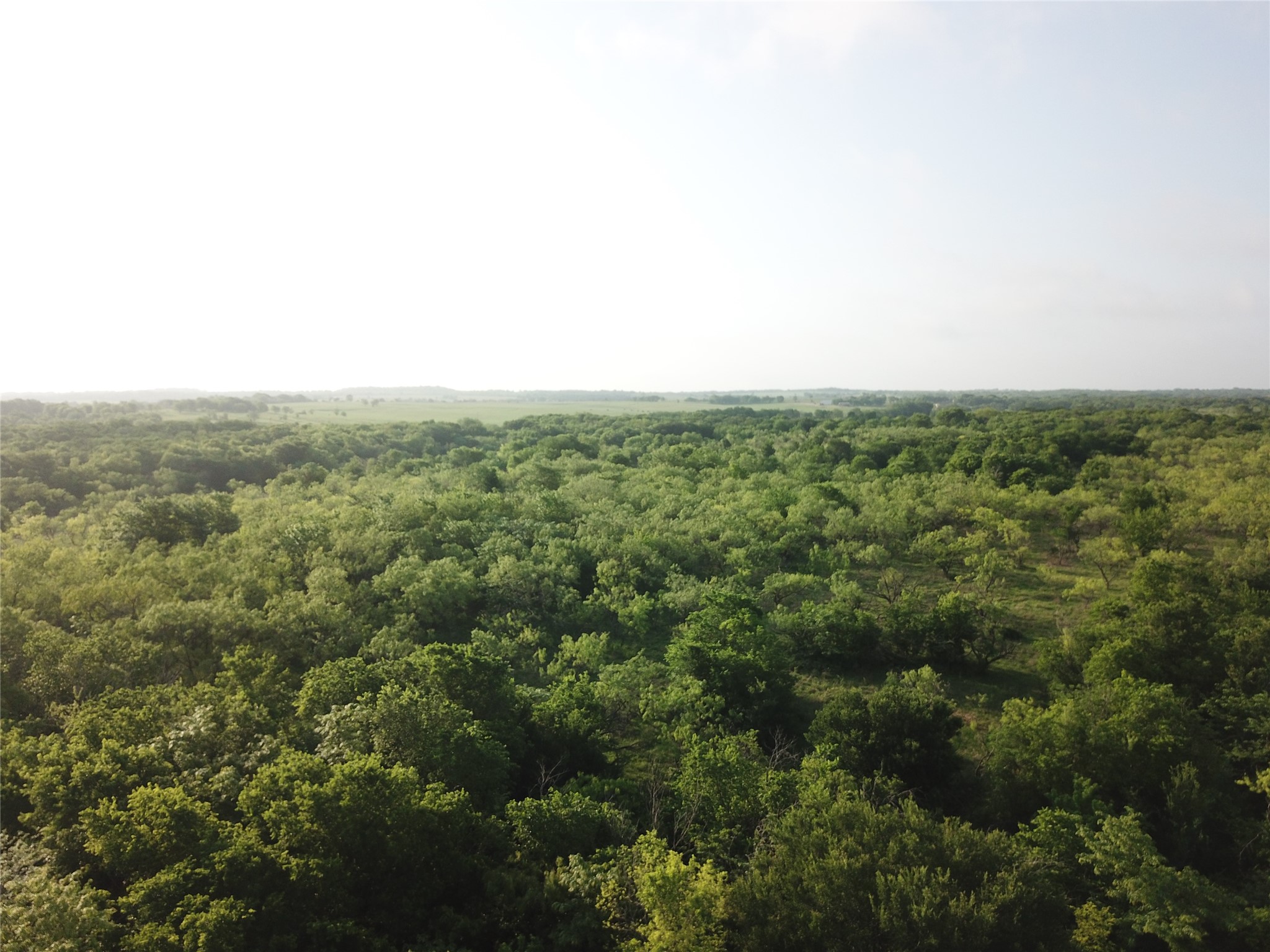 308.64 Acres Lcr 208a Coolidge TX 76635