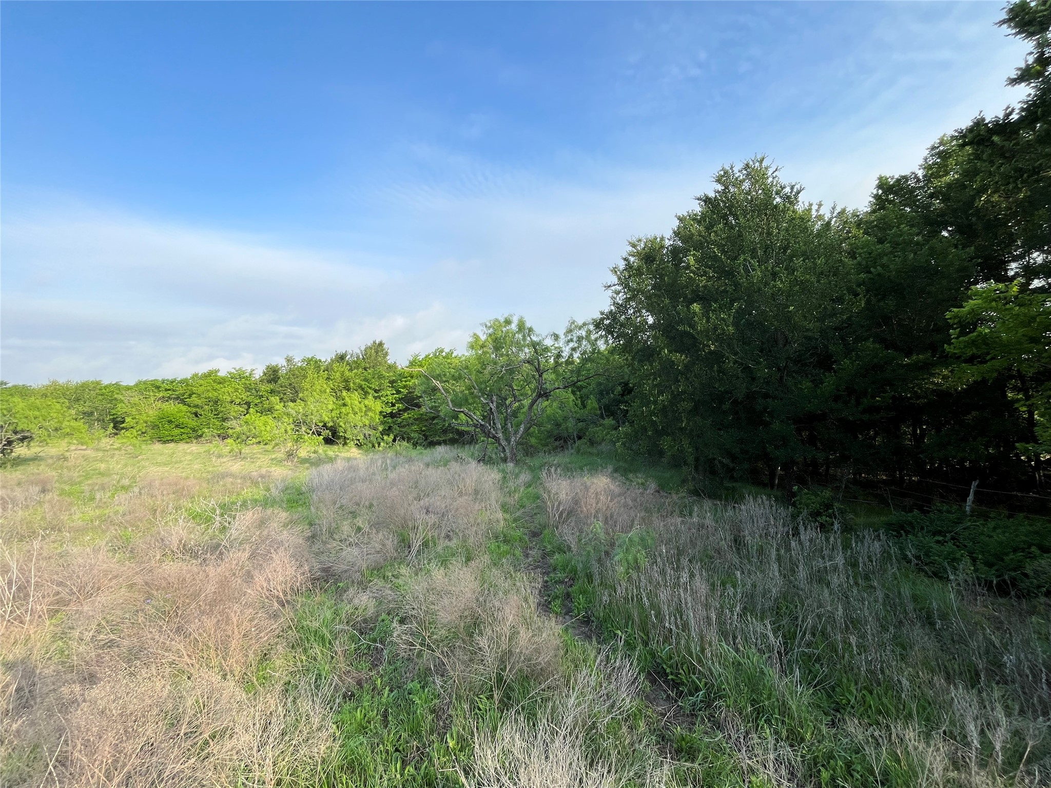 308.64 Acres Lcr 208a Coolidge TX 76635