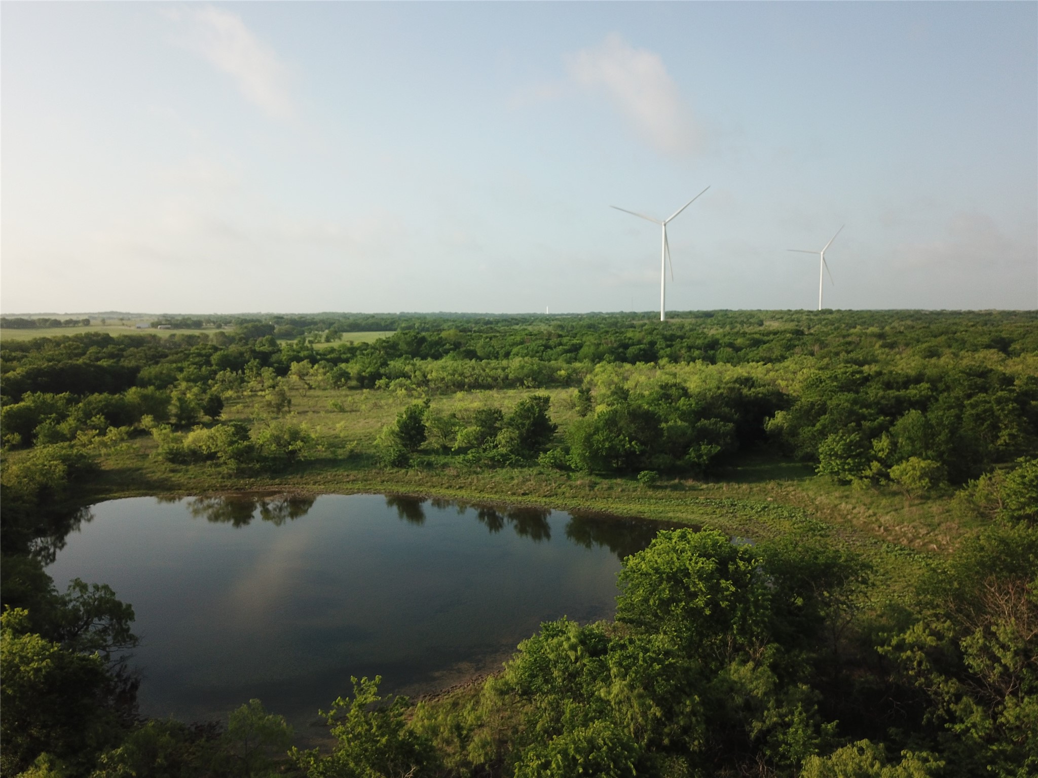 308.64 Acres Lcr 208a Coolidge TX 76635