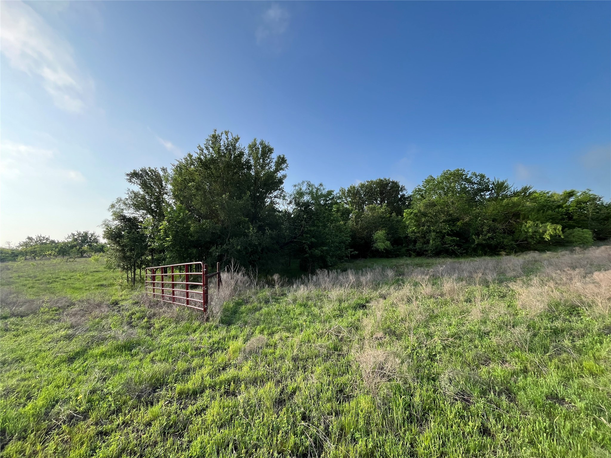 308.64 Acres Lcr 208a Coolidge TX 76635