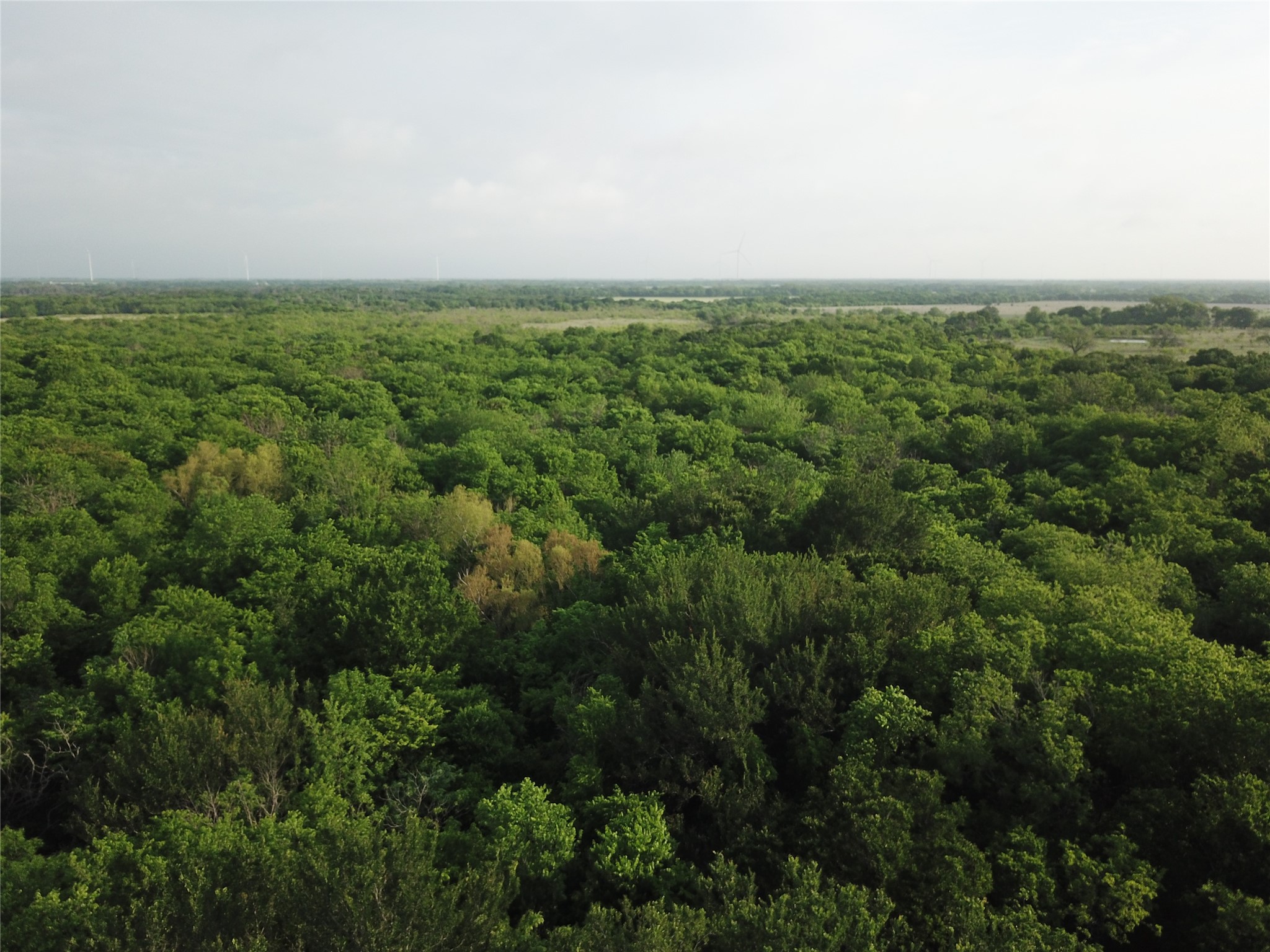 308.64 Acres Lcr 208a Coolidge TX 76635