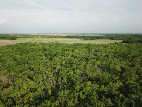 308.64 Acres Lcr 208a Coolidge TX 76635